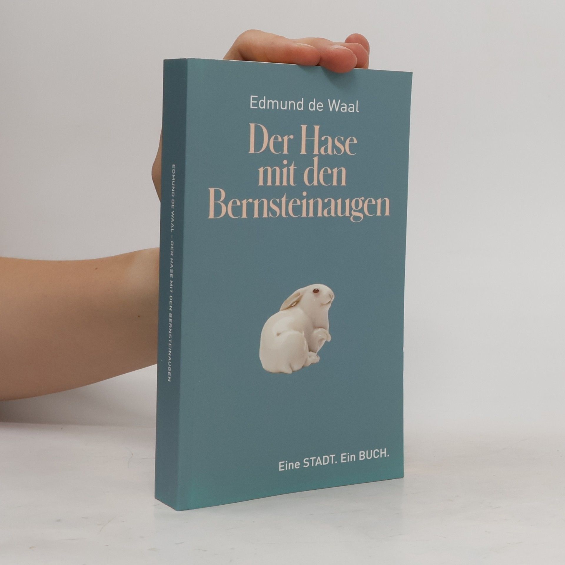 Edmund de Waal Der Hase mit den Bernsteinaugen