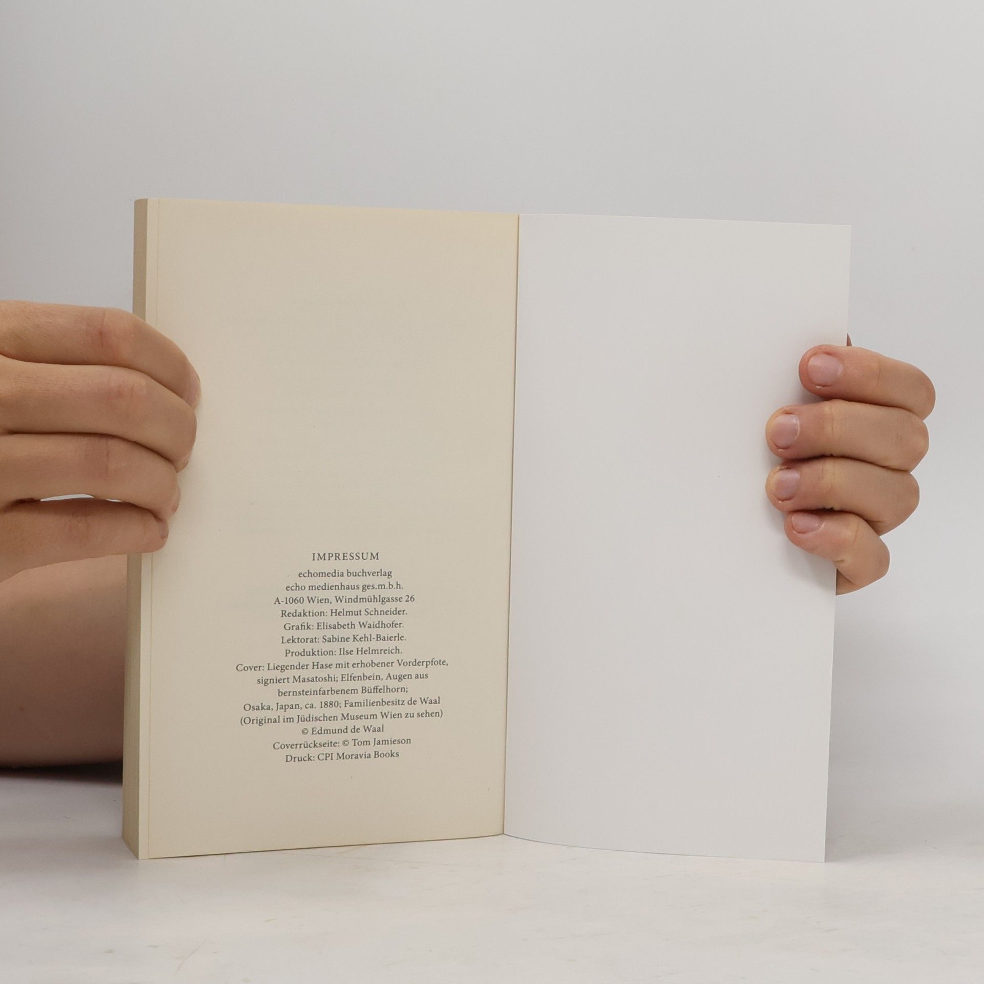 Edmund De Waal Der Hase mit den Bernsteinaugen