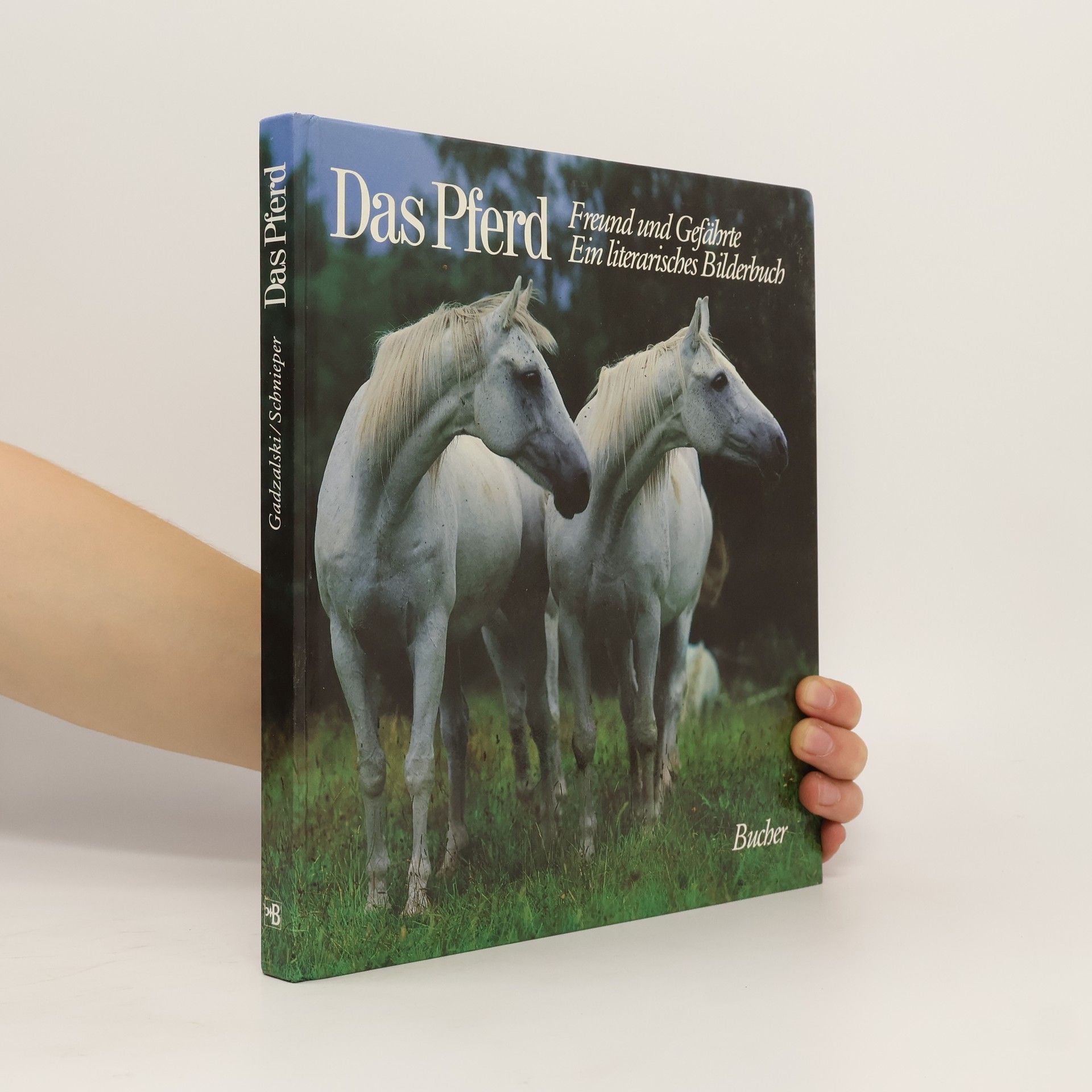 Marian Gadzalski Das Pferd