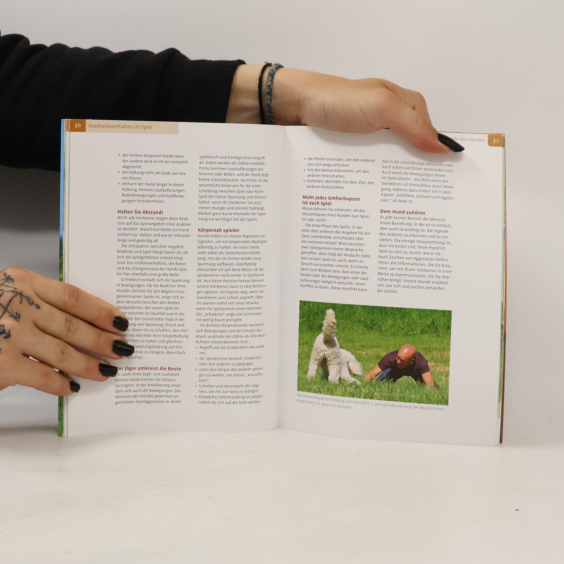 Mirko Tomasini Das Leitwolf-Training