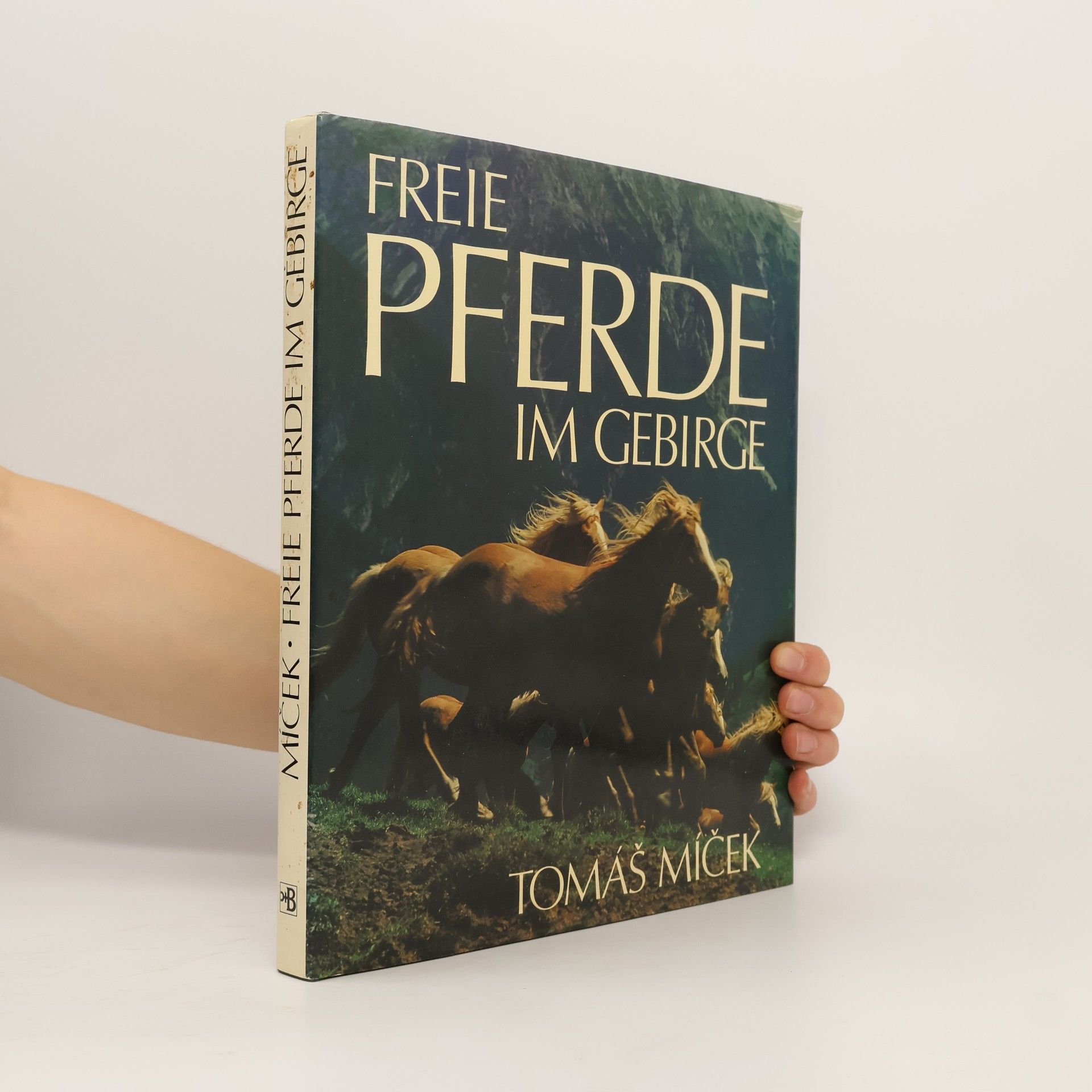 Tomáš Míček Freie Pferde im Gebirge