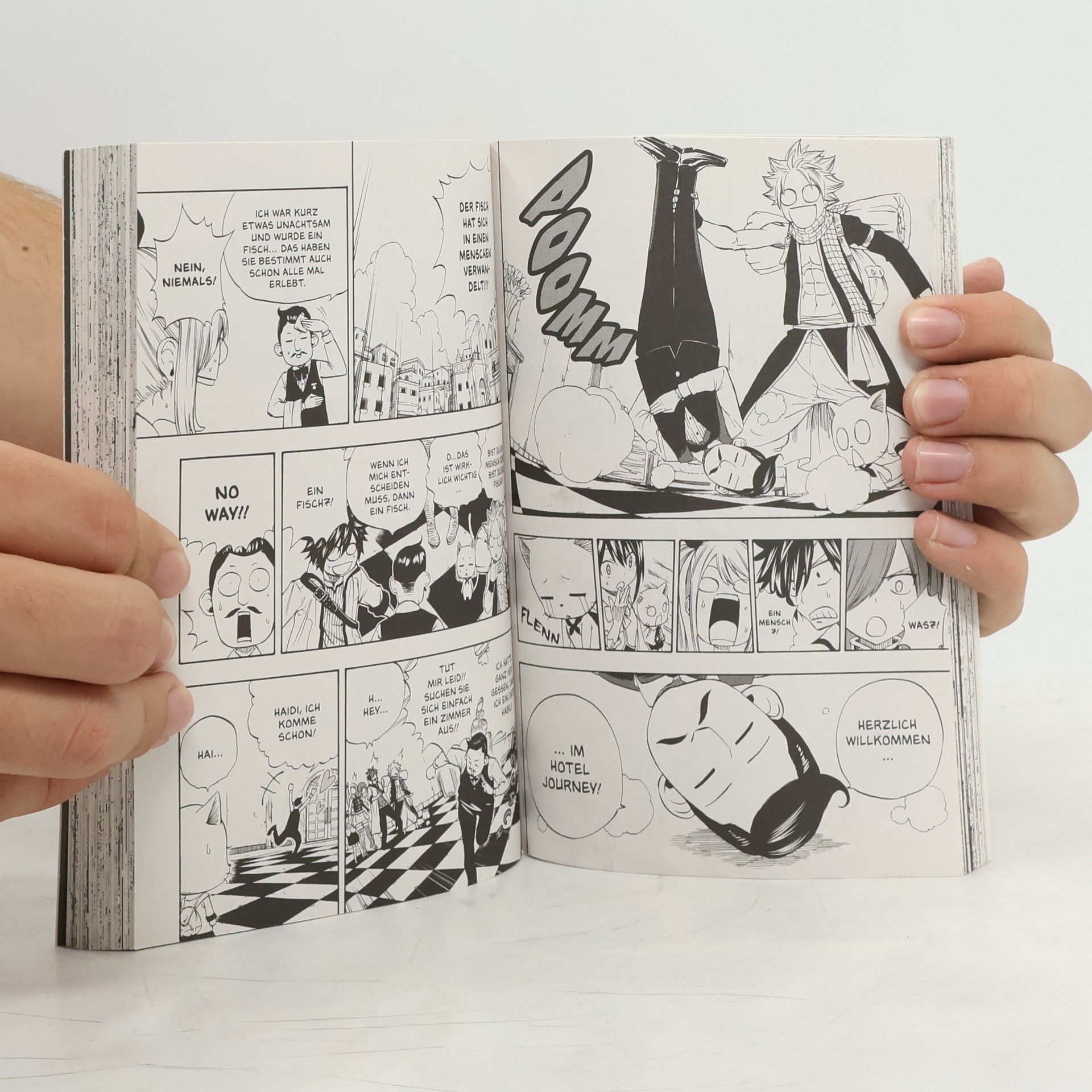 Hiro M. Fairy Tail – 100 Years Quest 1