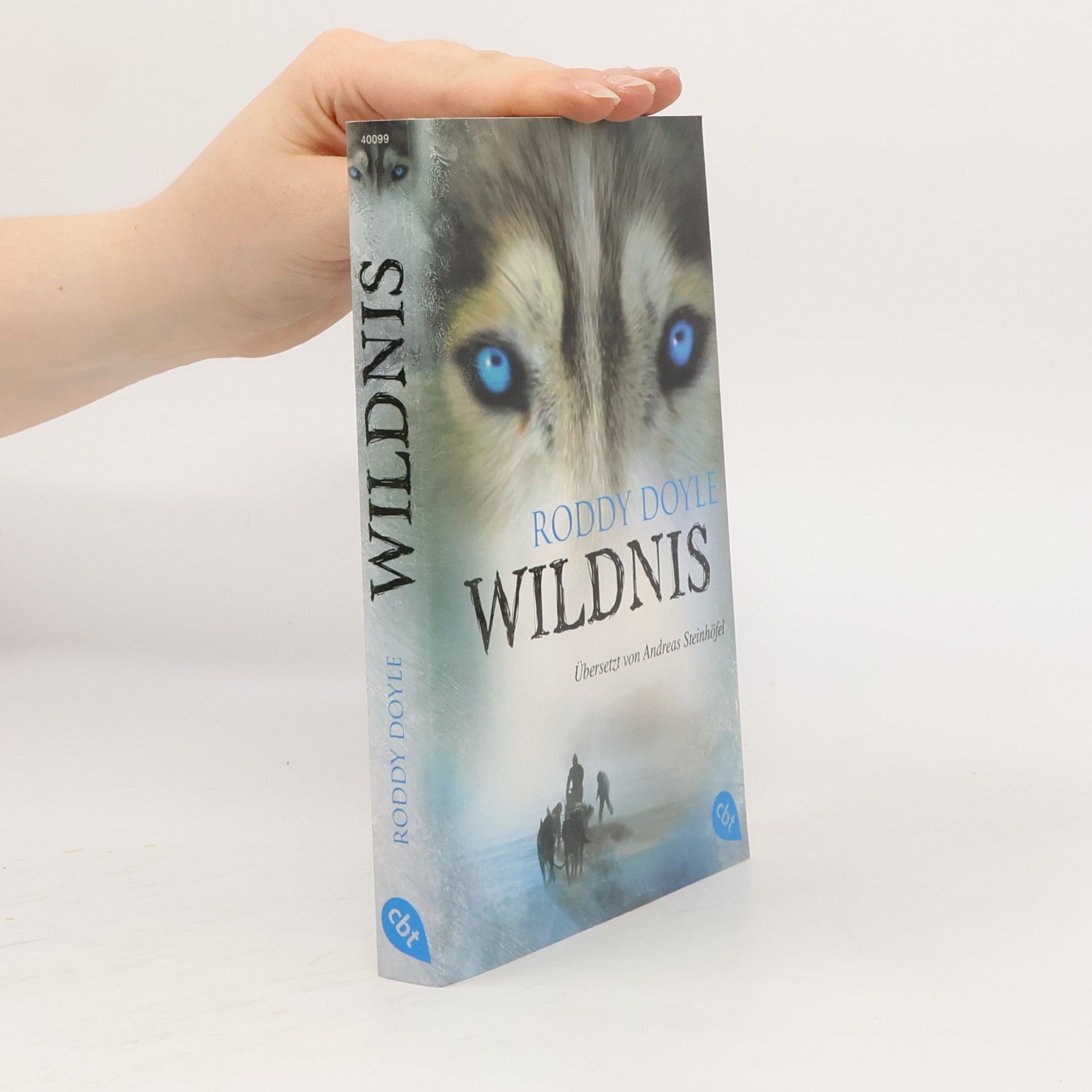 Roddy Doyle Wildnis