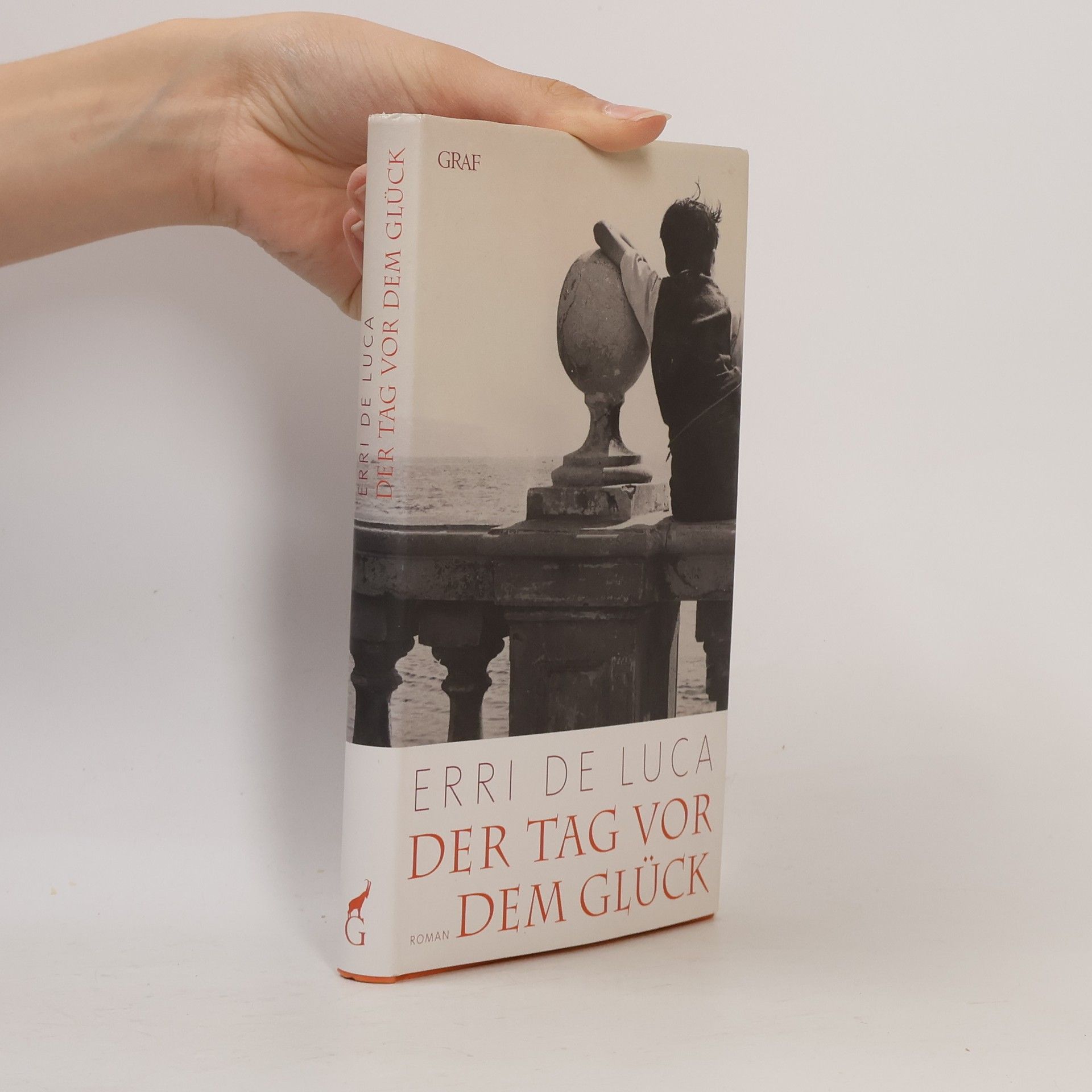 Erri De Luca Der Tag vor dem Glück