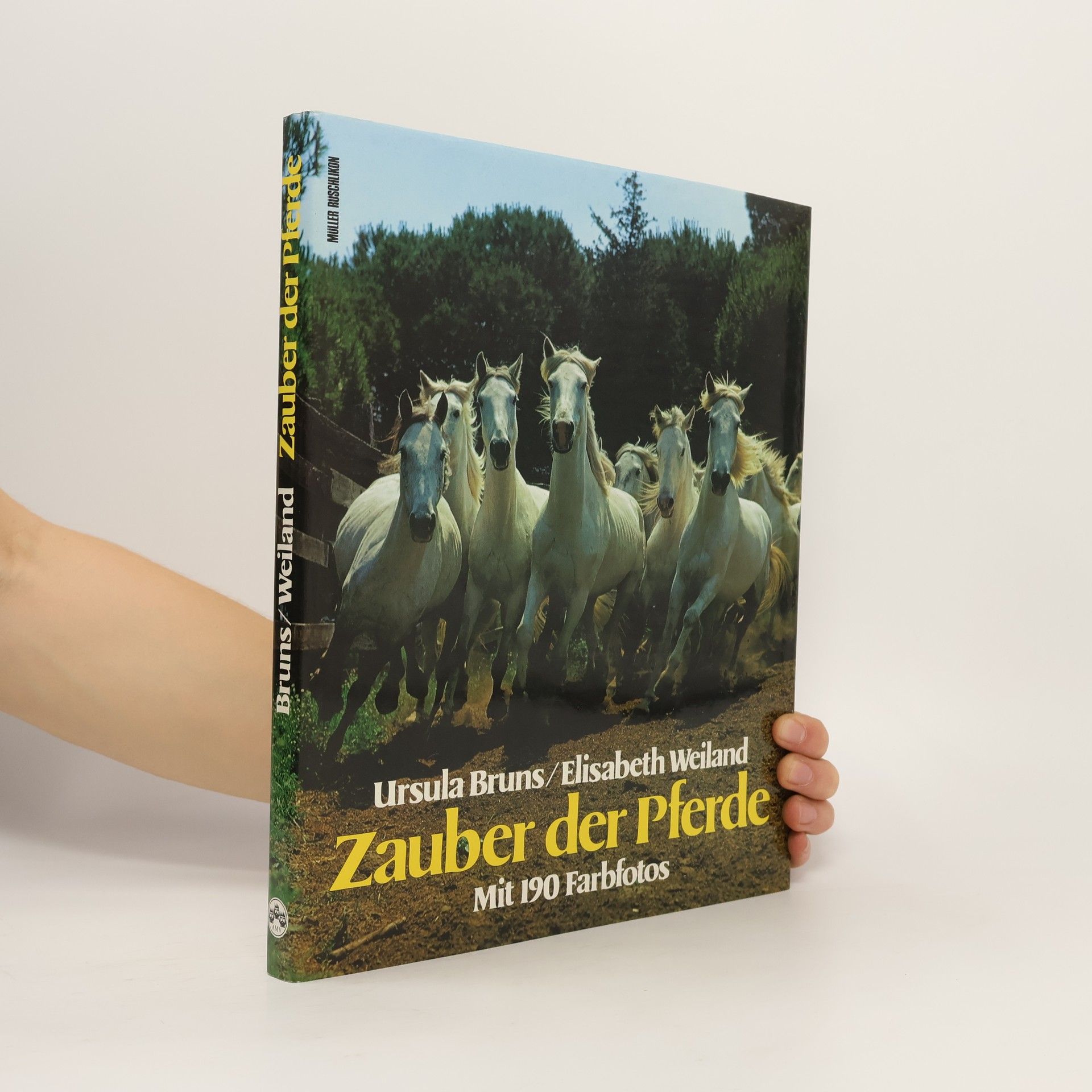 Ursula Bruns Zauber der Pferde