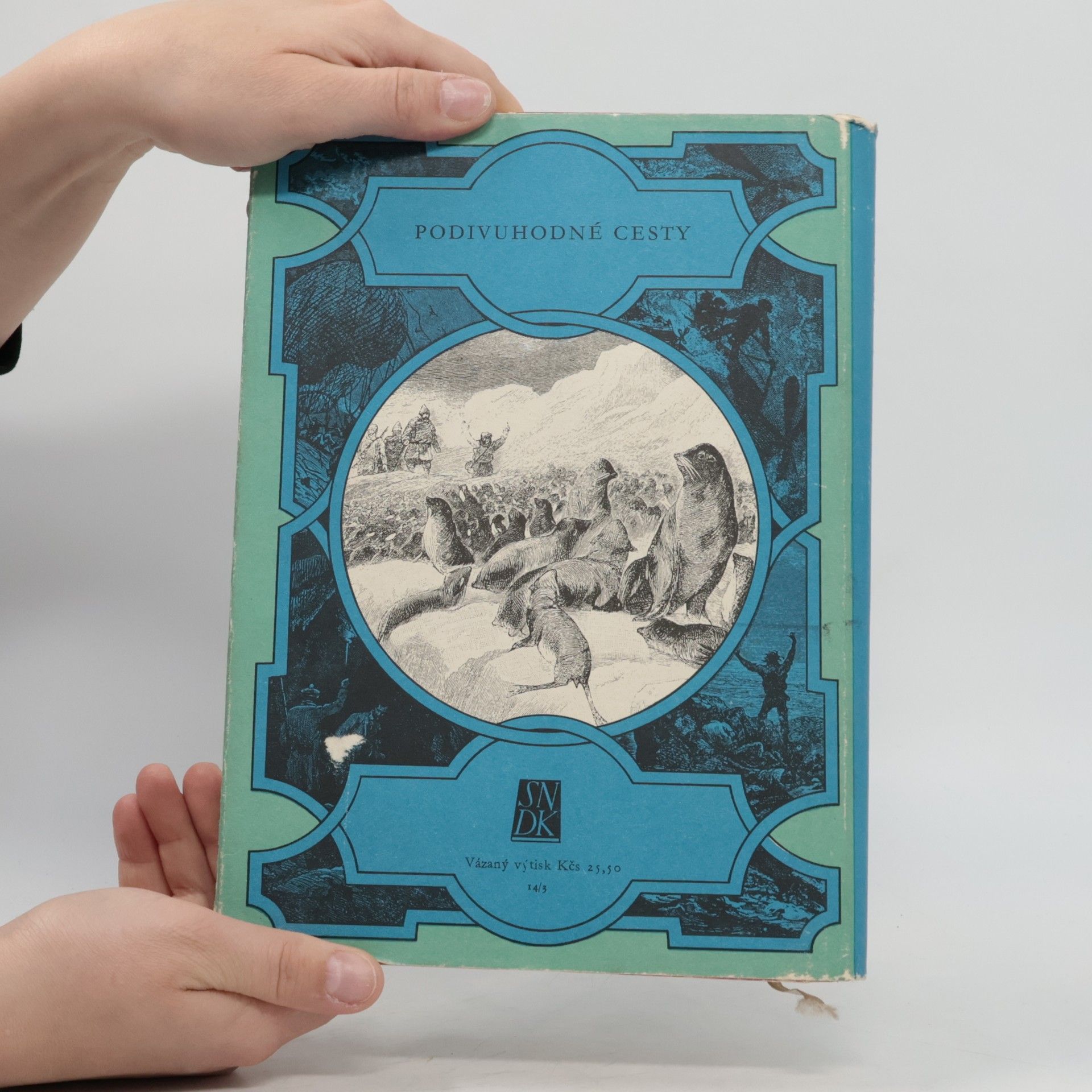 Jules Verne Oceánem na kře ledové