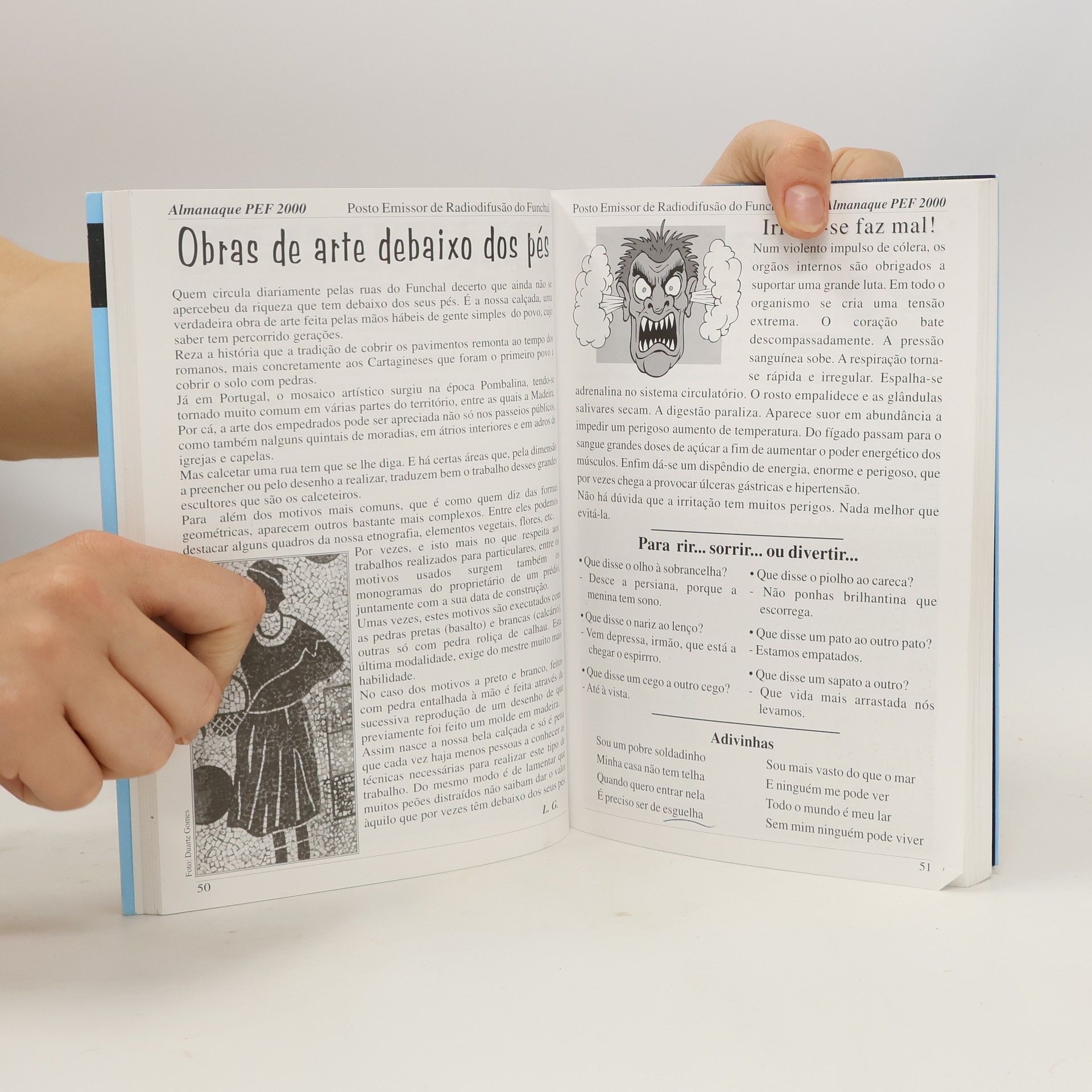 Autorenkollektiv Almanaque Pef 2000