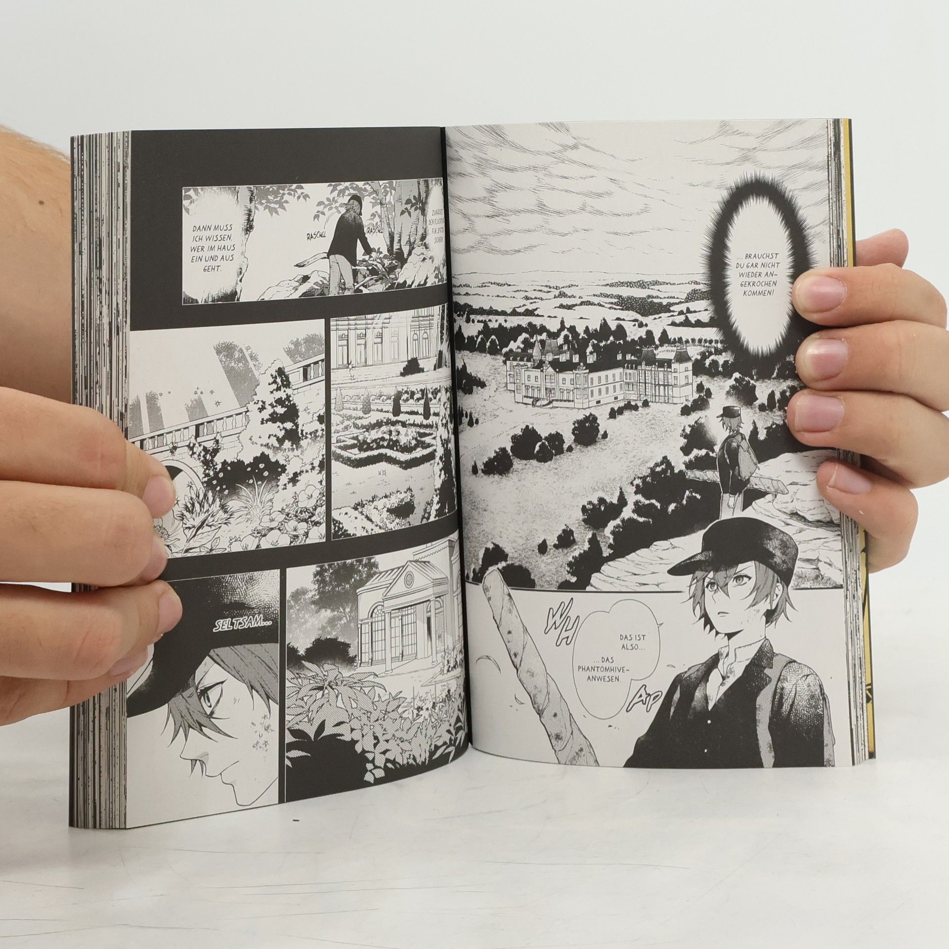 Yana Toboso Black Butler 30