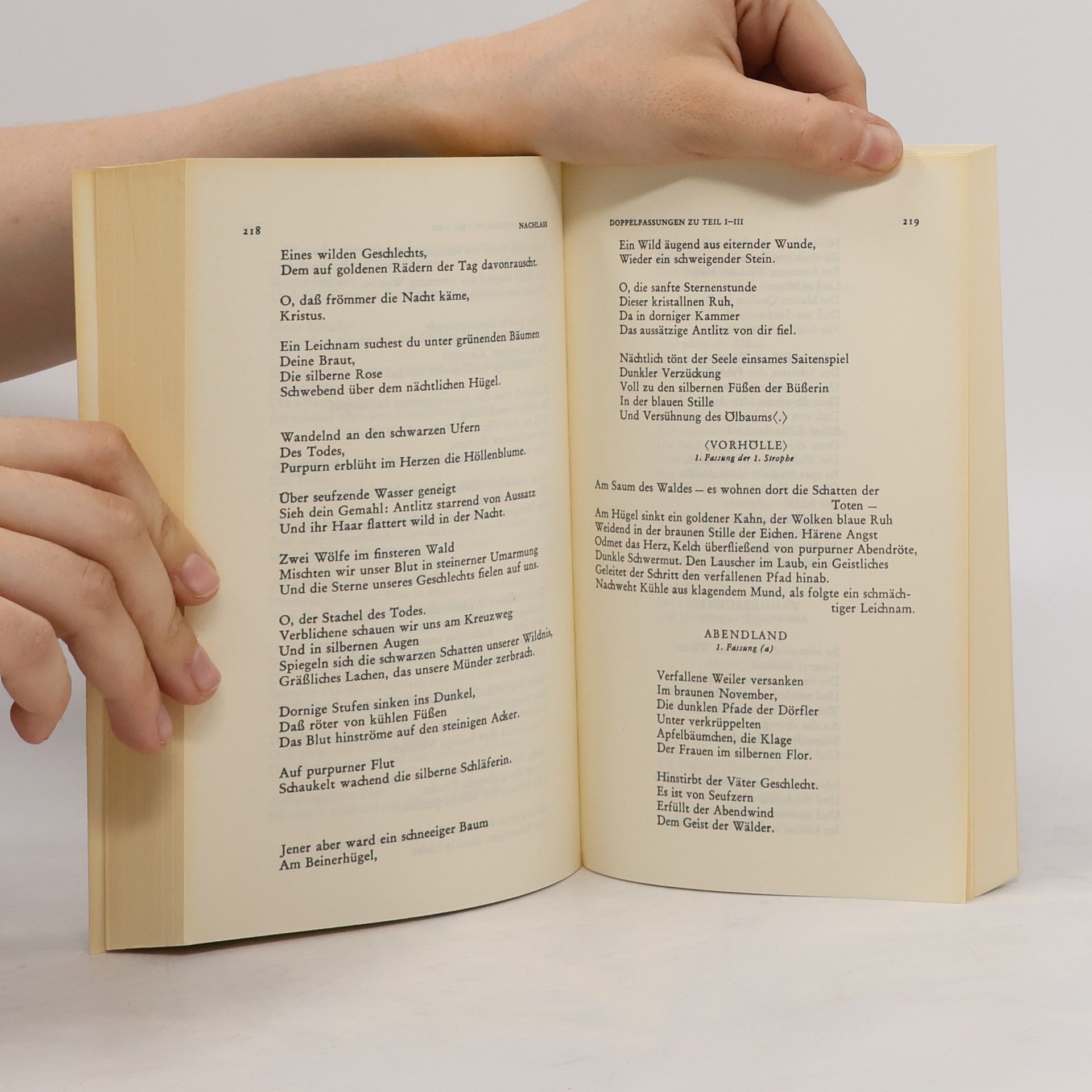 Georg Trakl Dichtungen und Briefe