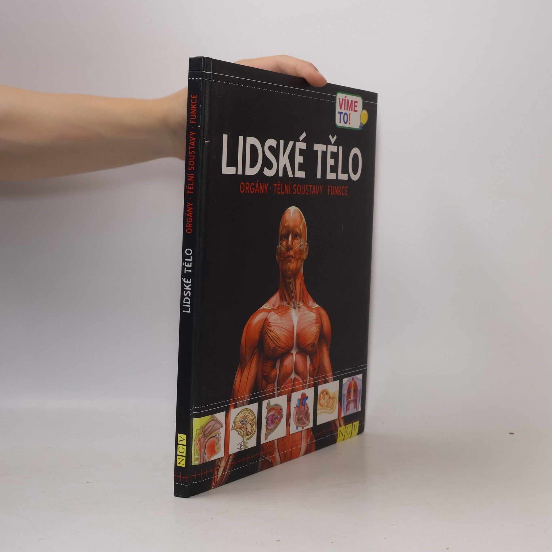 Autorenkollektiv Lidské tělo
