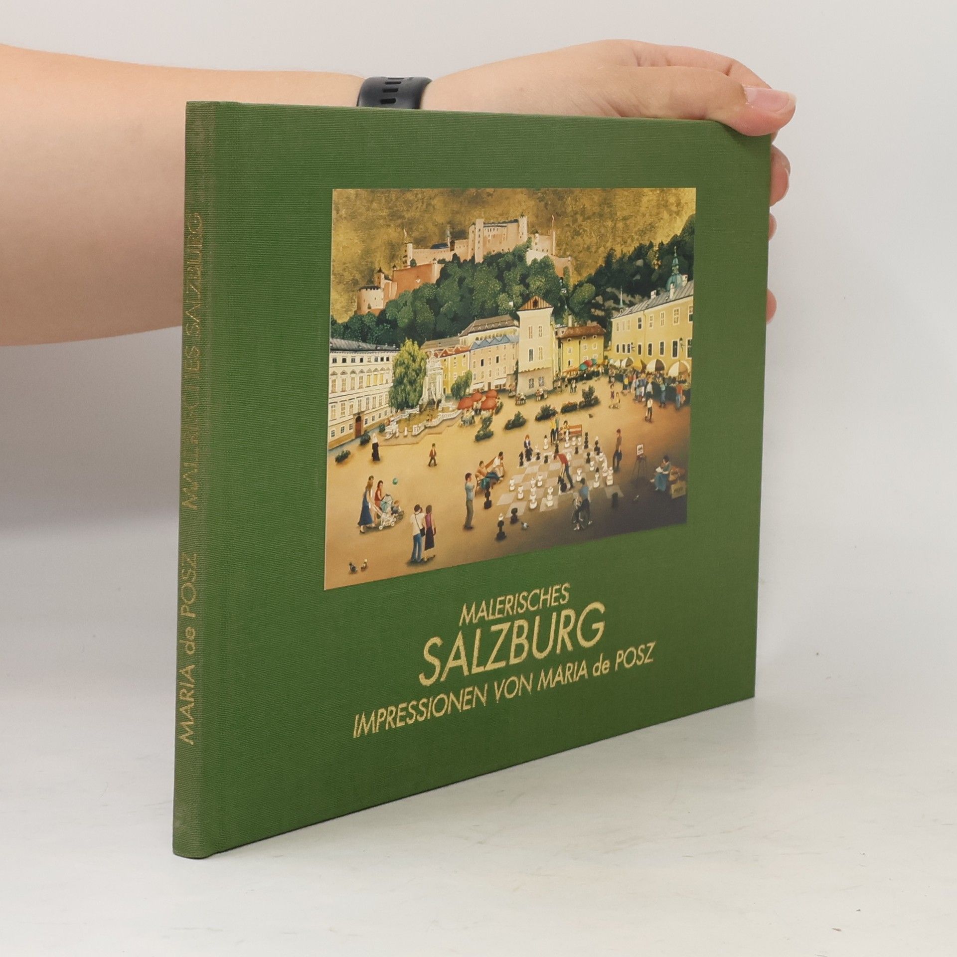 Maria de Posz Malerisches Salzburg
