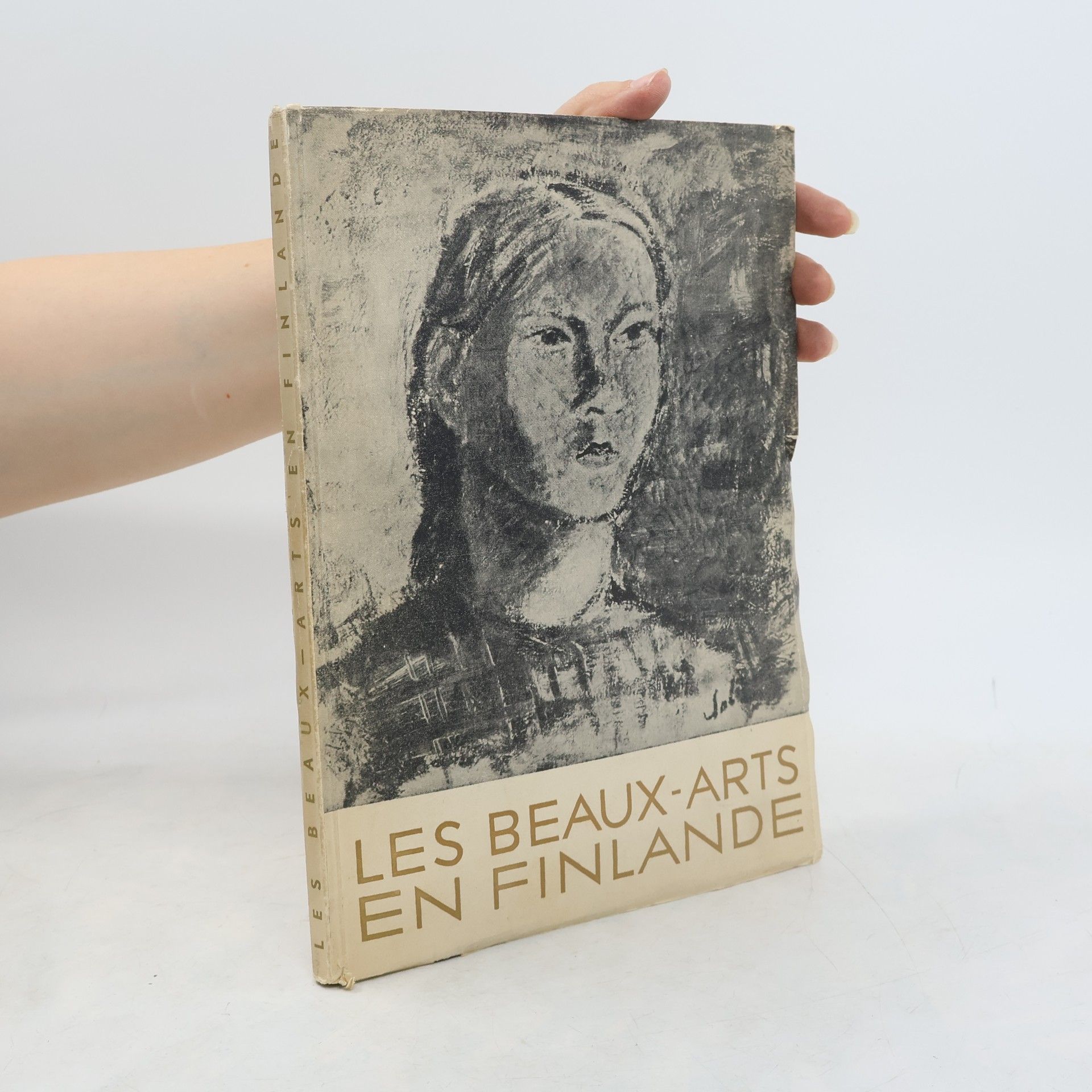AA.VV. Les beaux-arts en Finlande