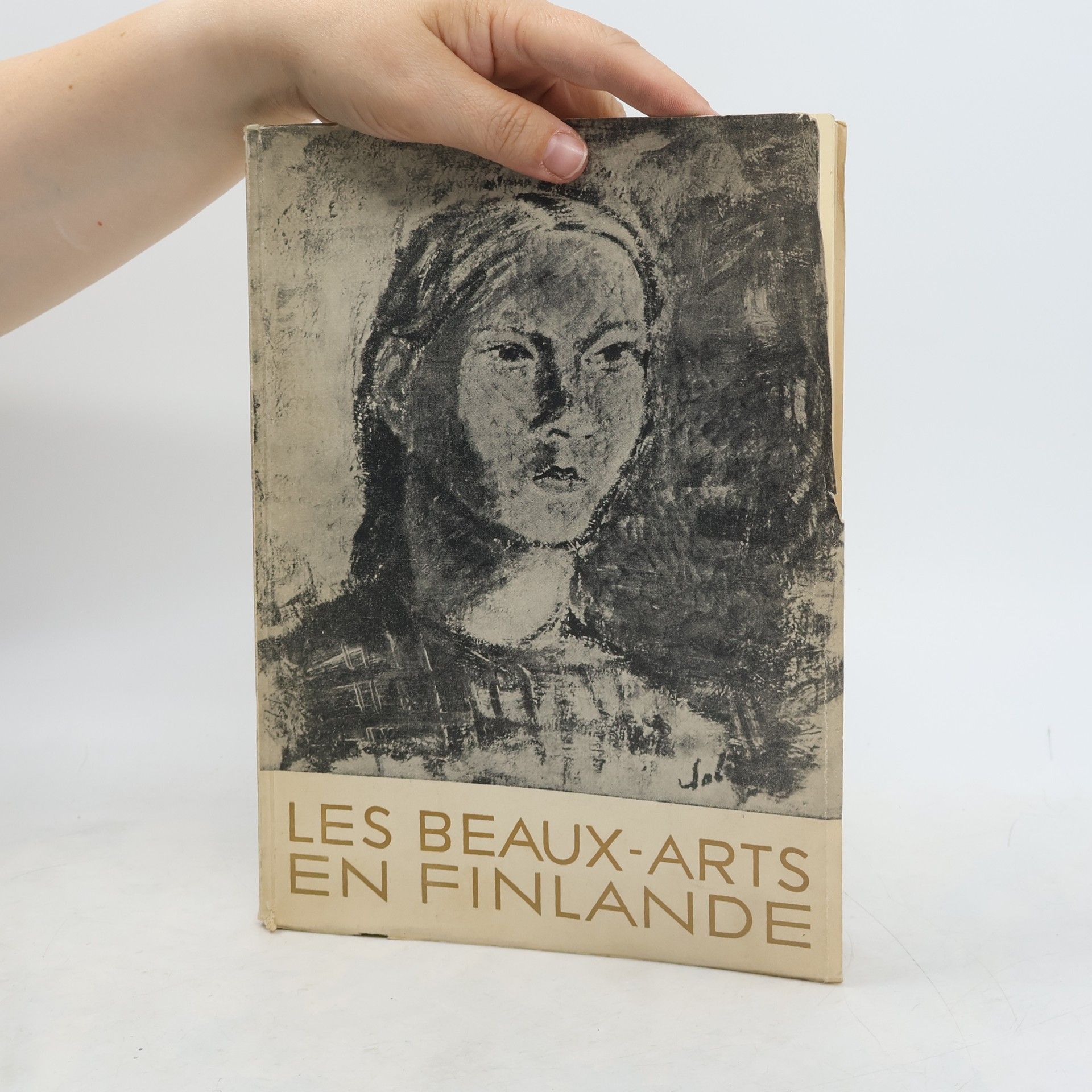 AA.VV. Les beaux-arts en Finlande