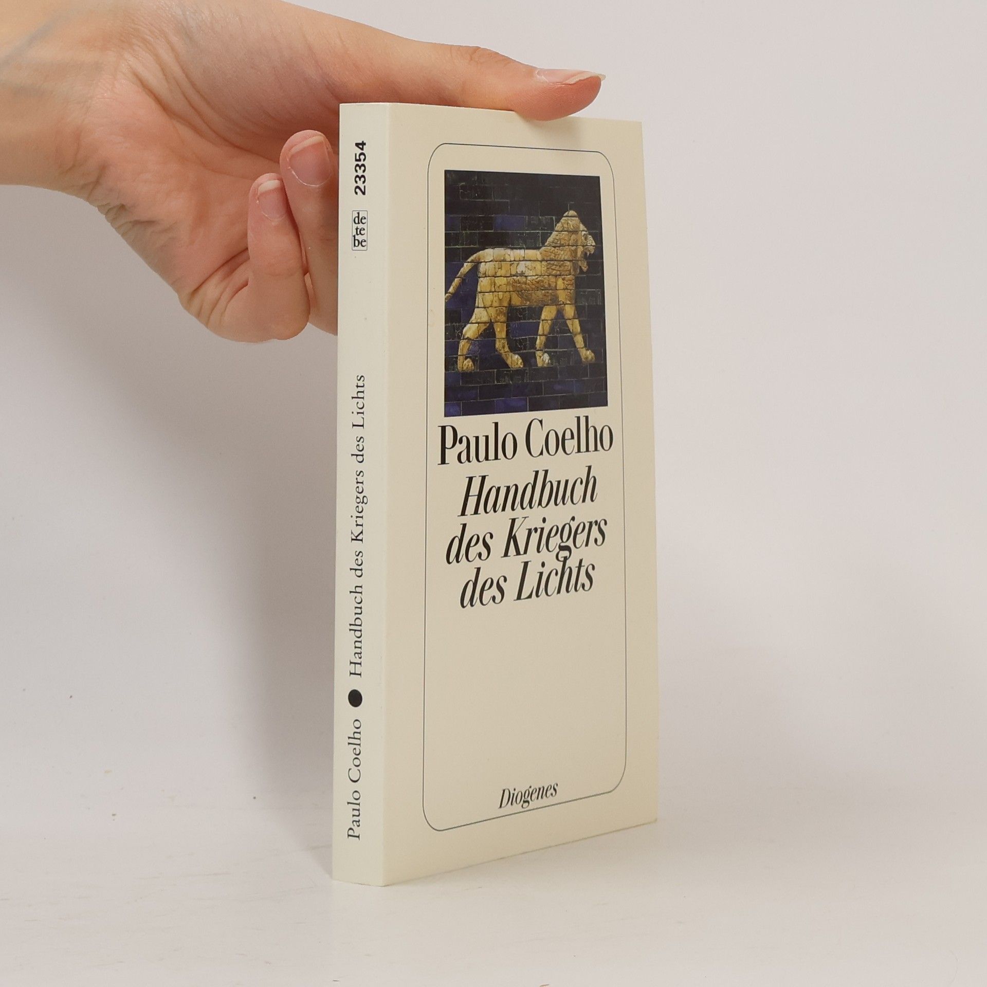 Paulo Coelho Handbuch des Kriegers des Lichts