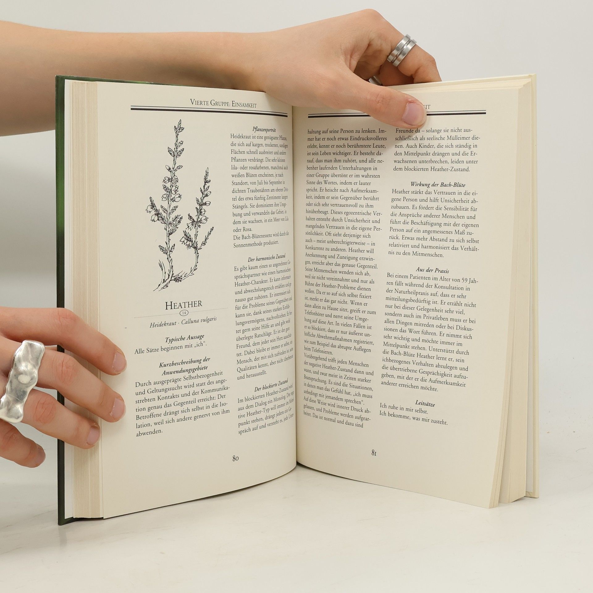 Ulrike Schöber Das grosse Buch der Bach-Blüten