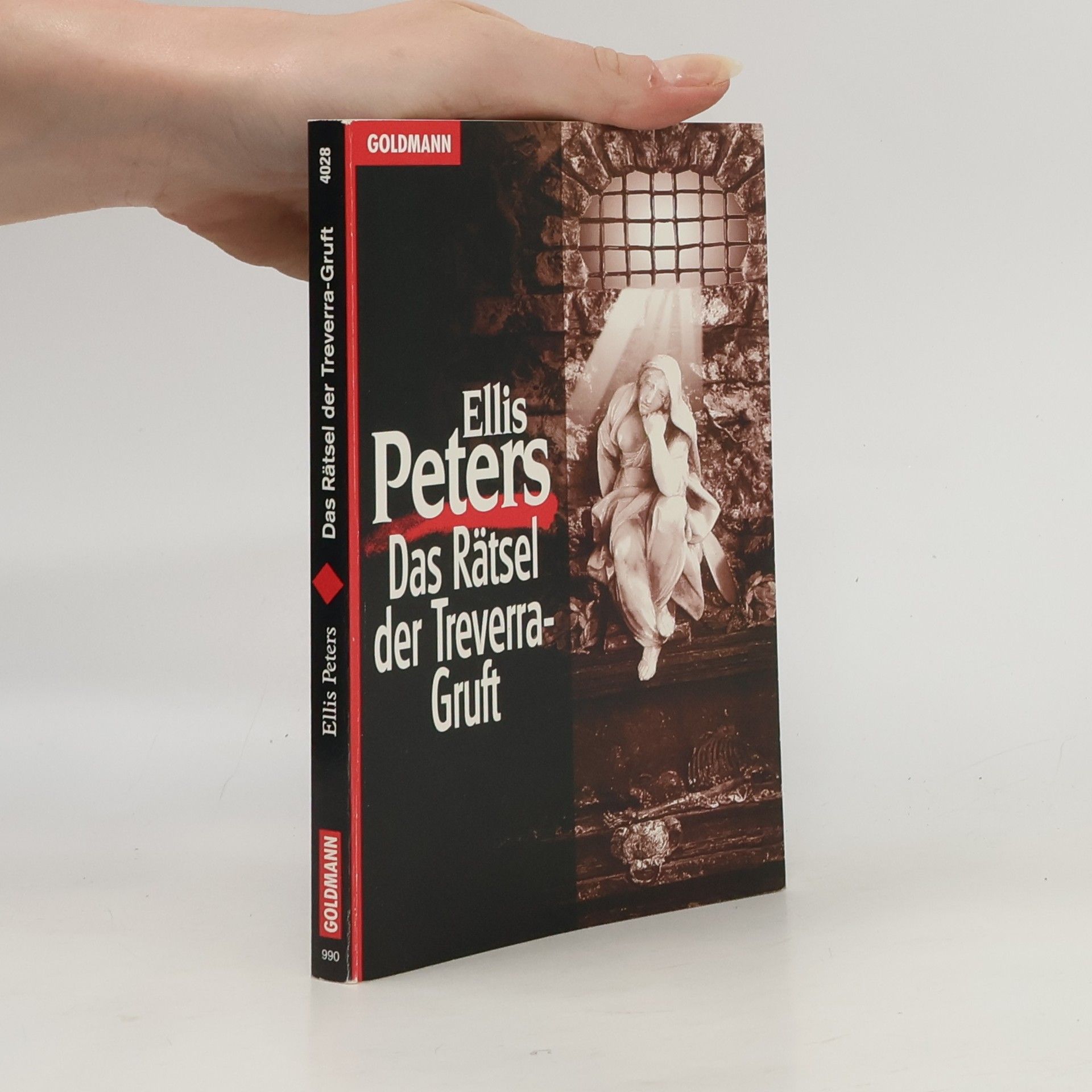 Autorenkollektiv Das Rätsel der Treverra-Gruft