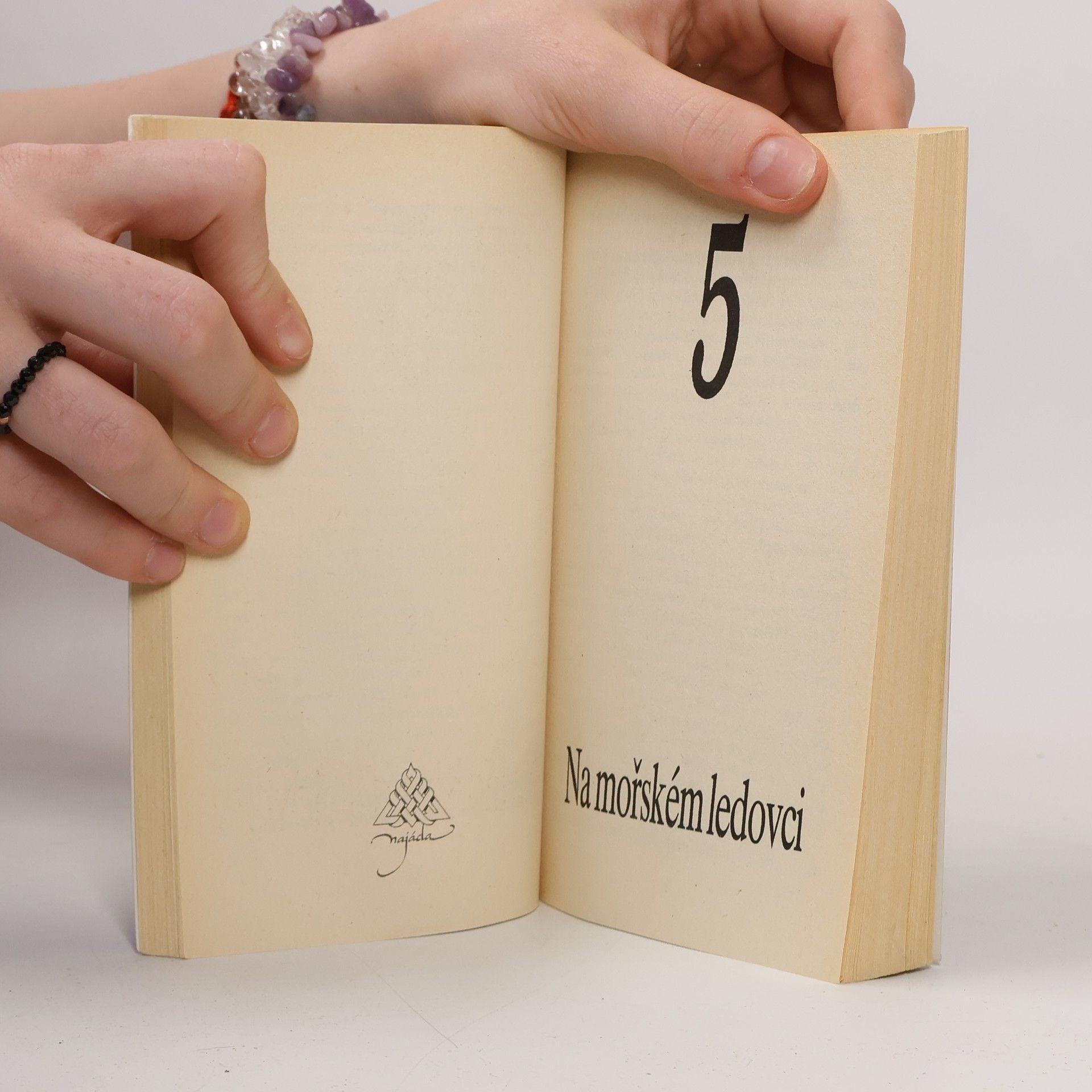 Georges-Jean Arnaud Ledová společnost. 8, Na mořském ledovci