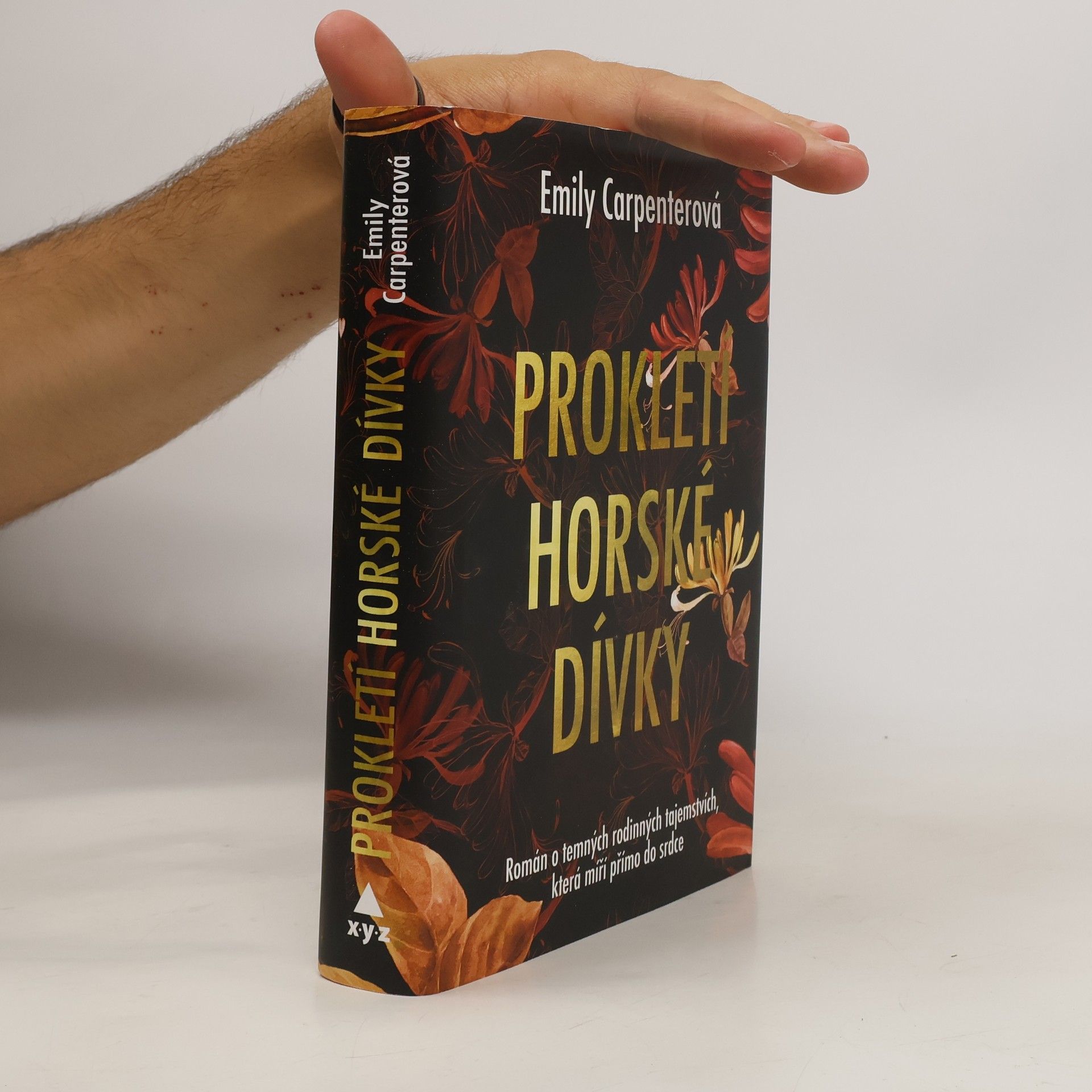 Emily Carpenter Prokletí horské dívky