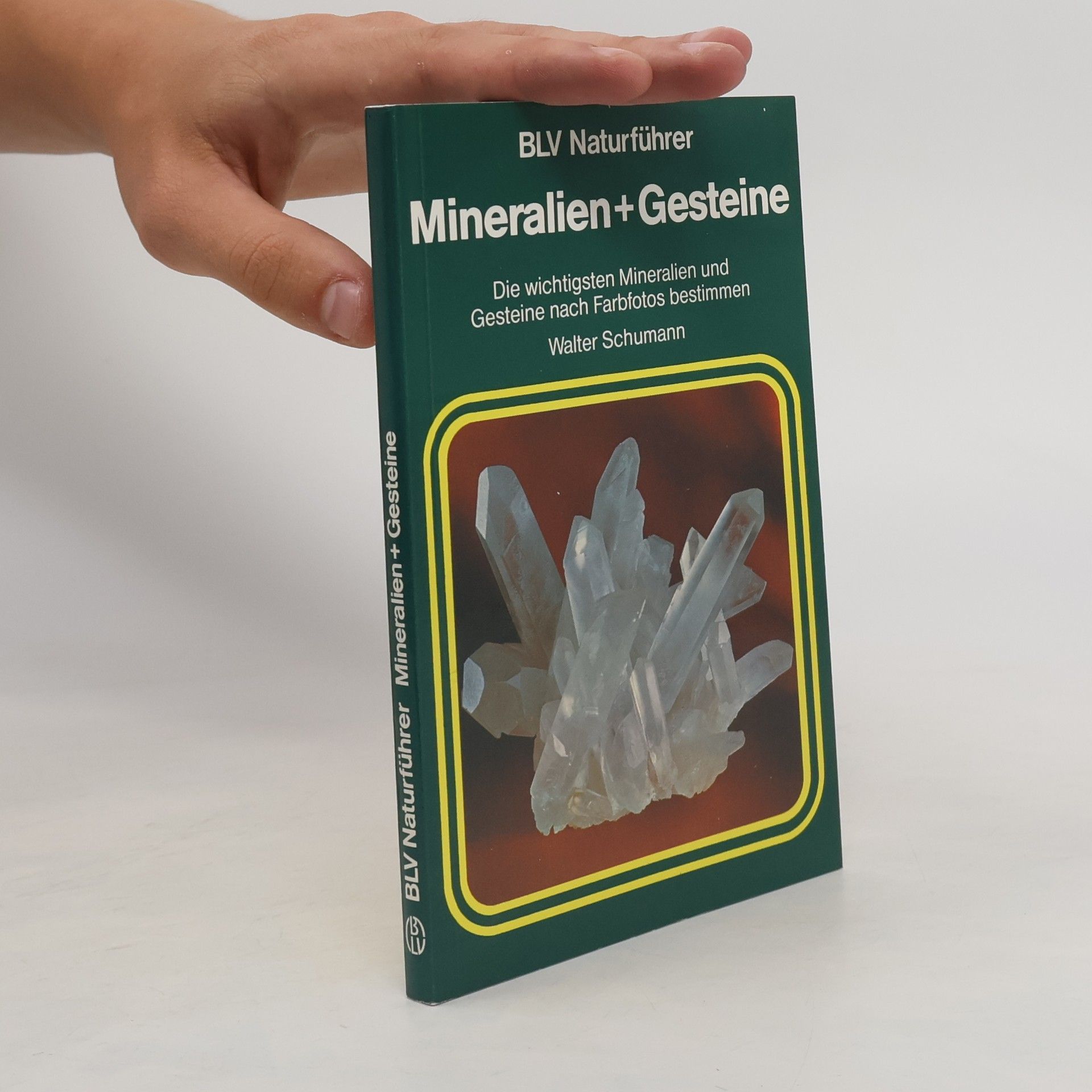 Walter Schumann Mineralien + Gesteine