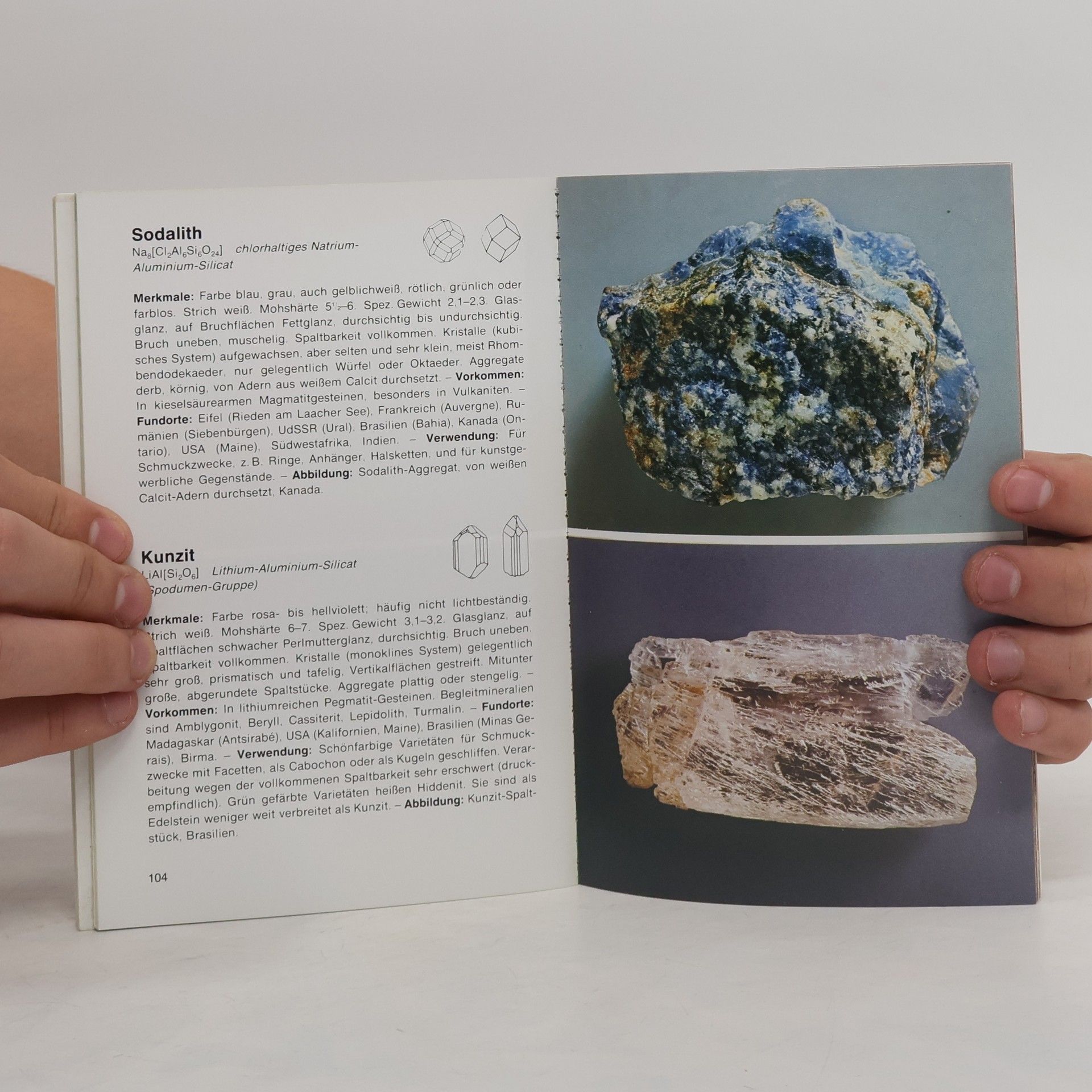 Walter Schumann Mineralien + Gesteine