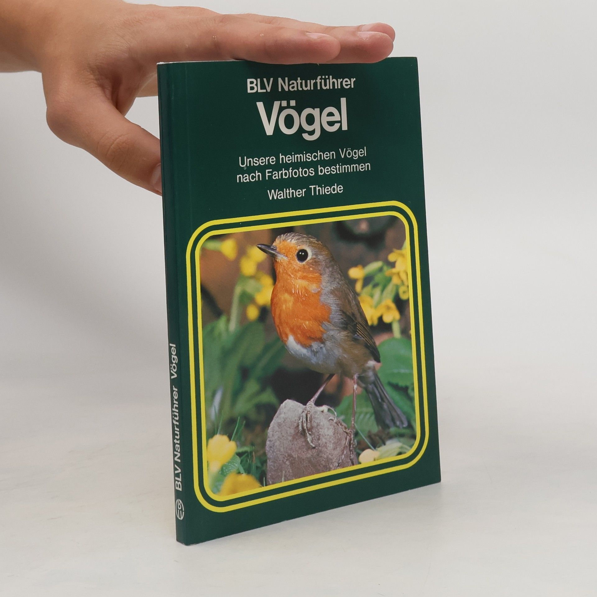 Walther Thiede Vögel