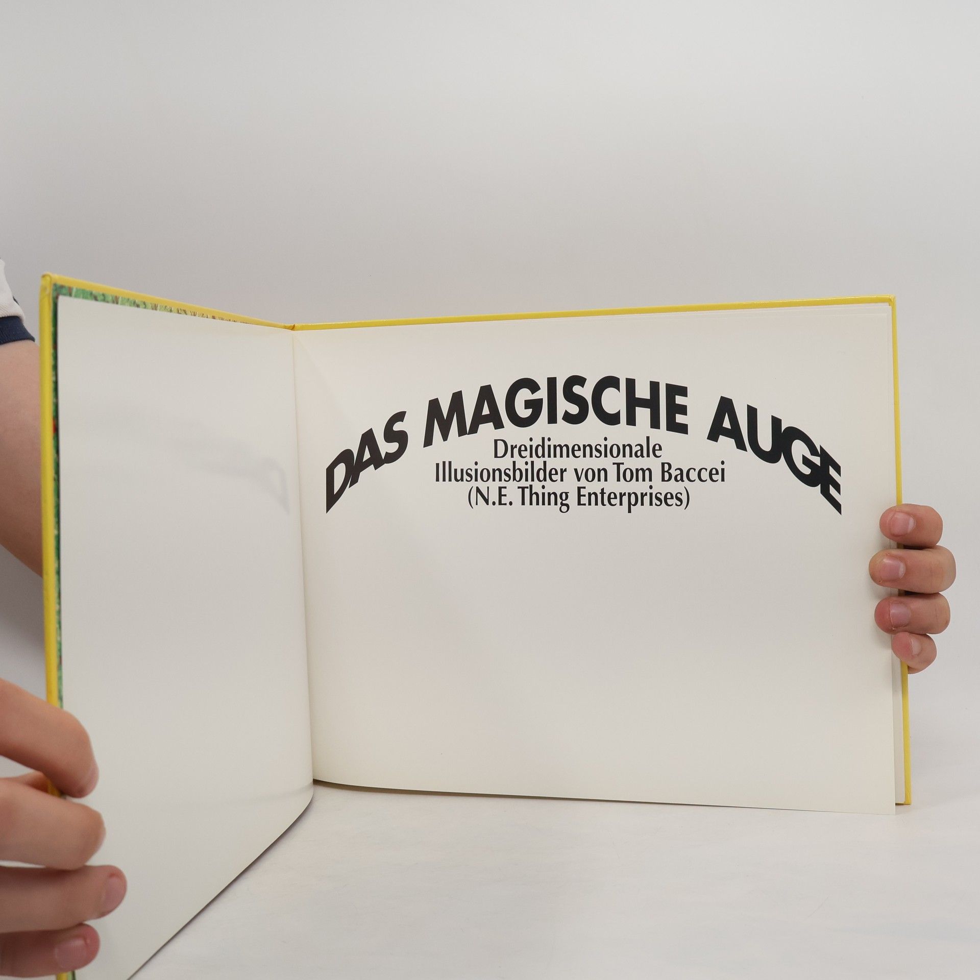 Autorenkollektiv Das magische Auge