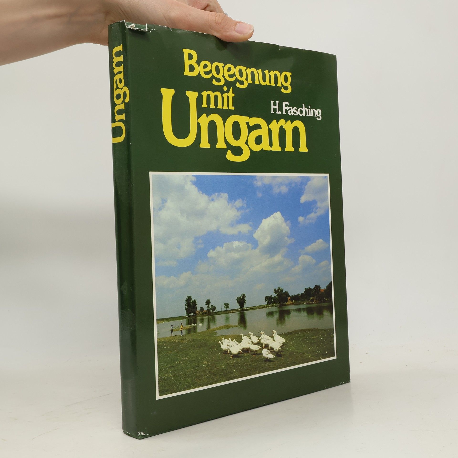 Herbert Fasching Begegnung mit Ungarn