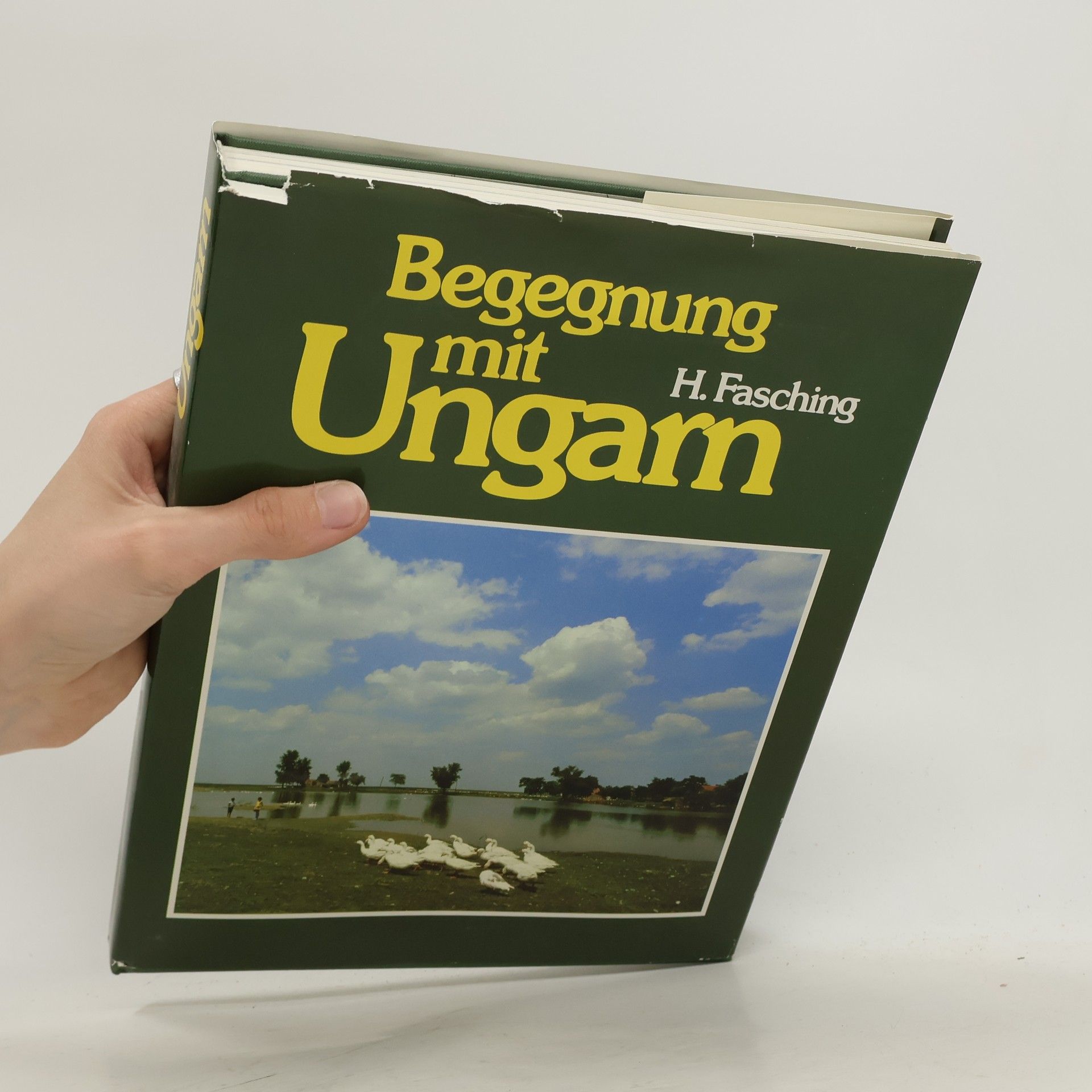 Herbert Fasching Begegnung mit Ungarn