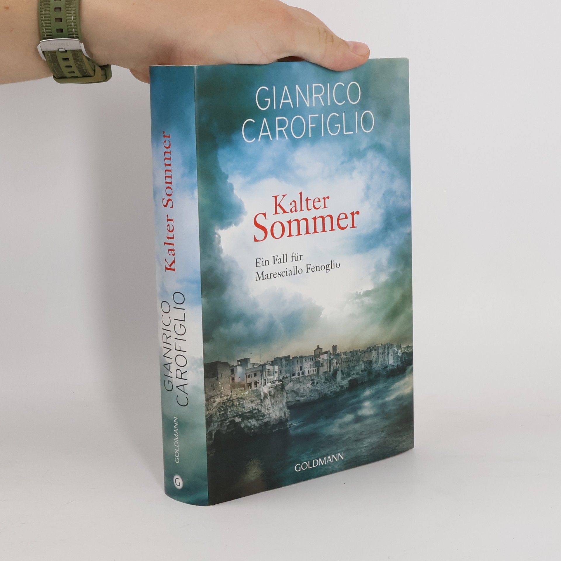 Gianrico Carofiglio Kalter Sommer