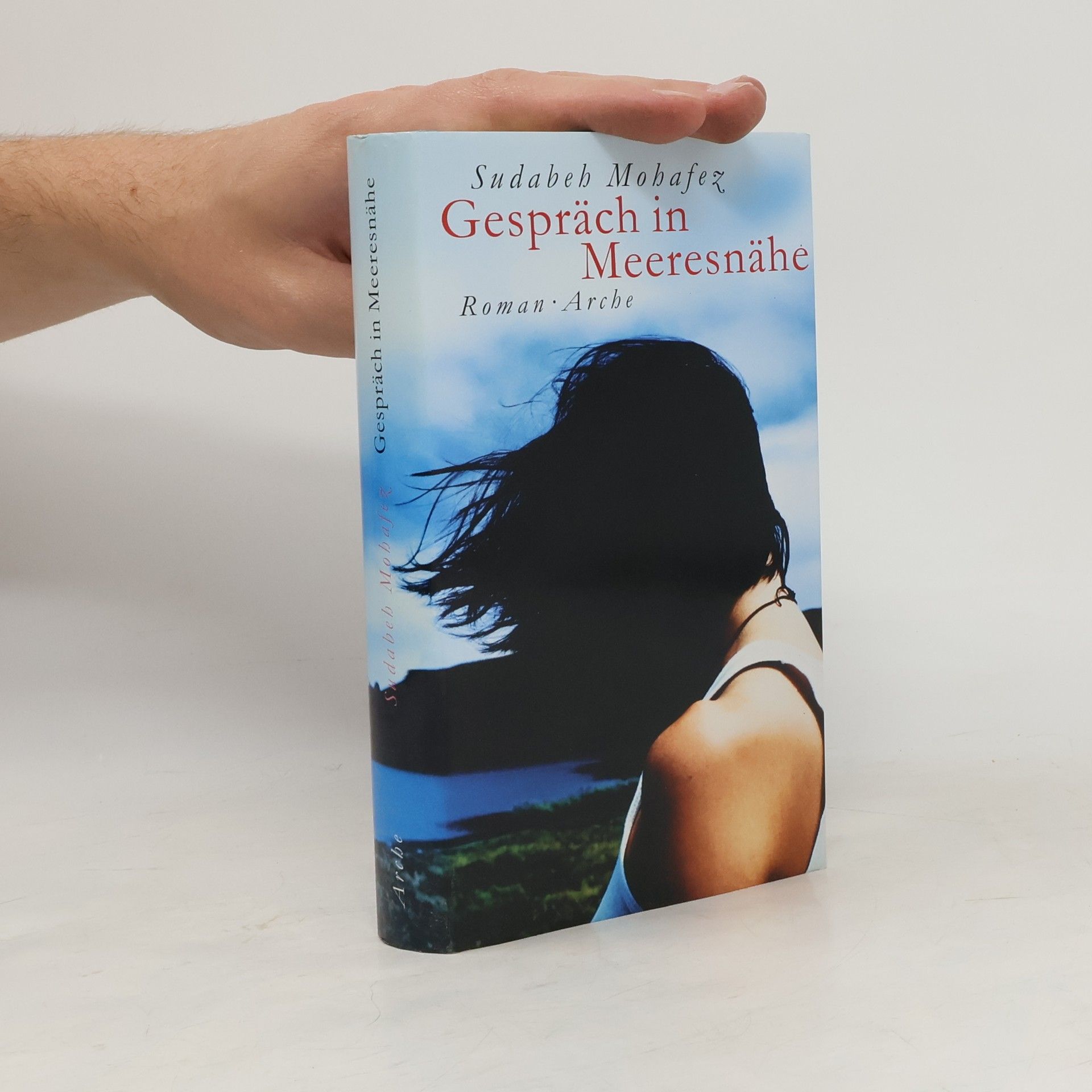 Sudabeh Mohafez Gespräch in Meeresnähe