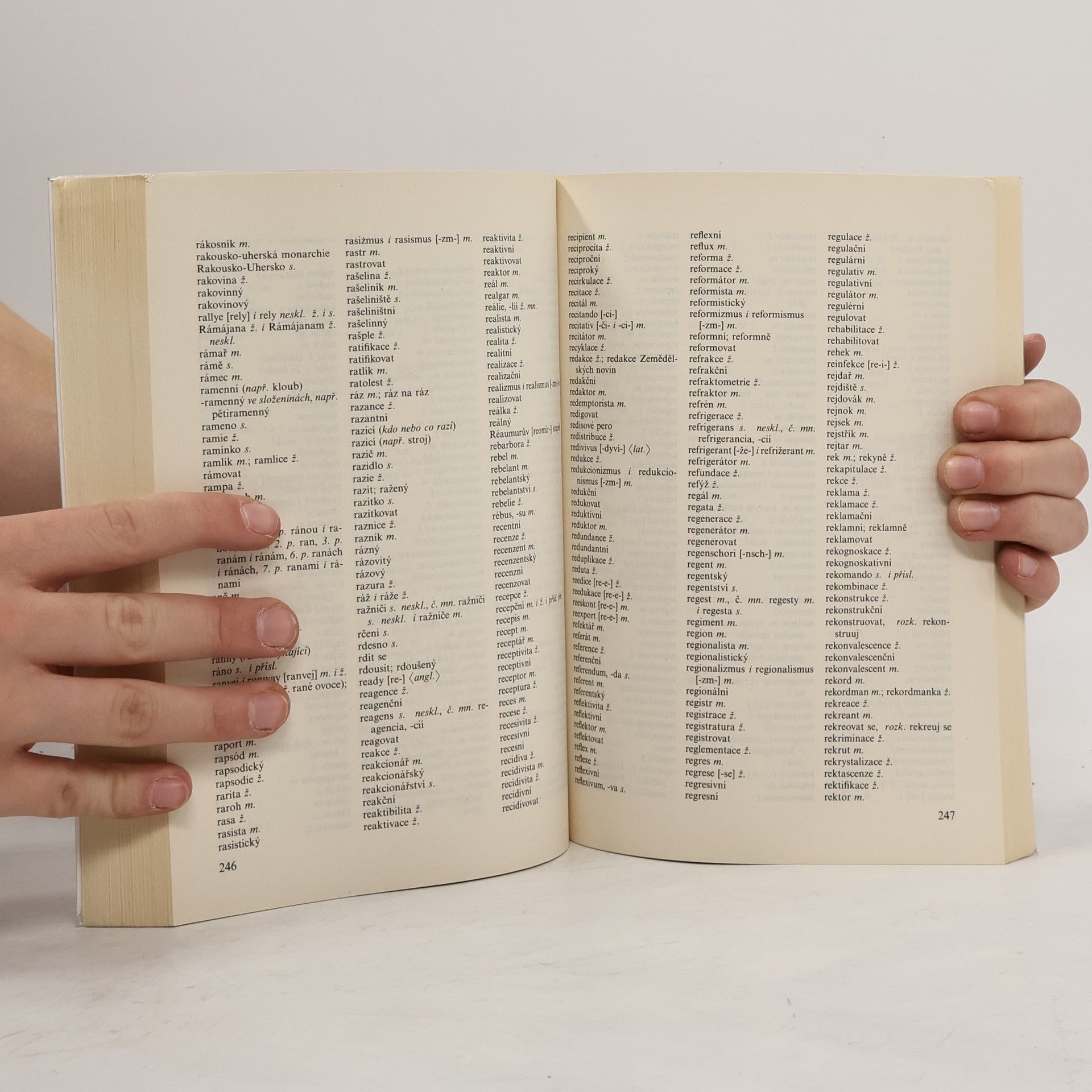 Autorenkollektiv Pravidla českého pravopisu