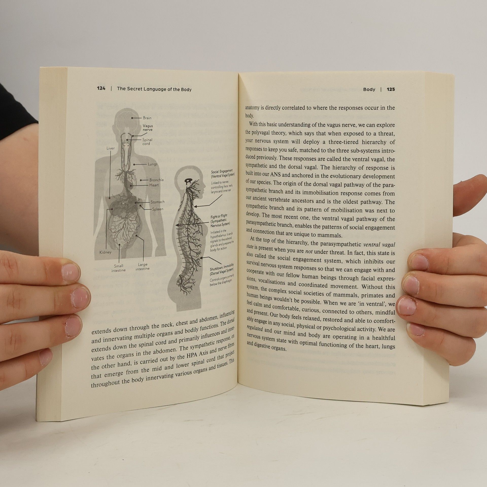 Jennifer K. Mann The Secret Language of the Body