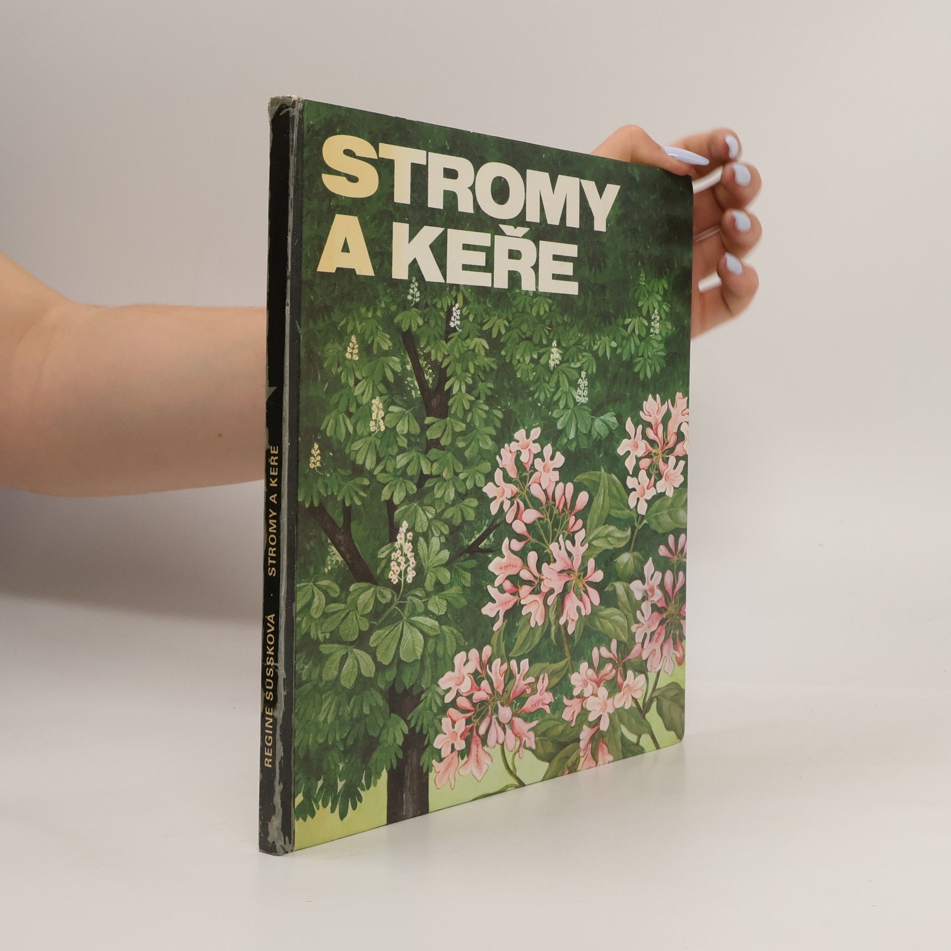 Regine Süssk Stromy a keře