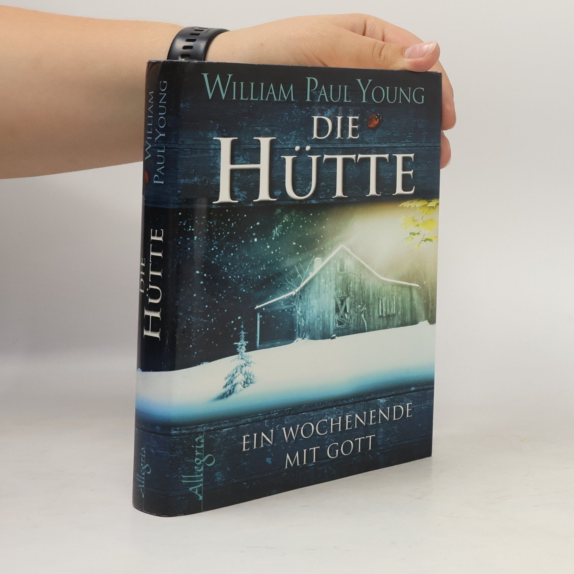William P. Young Die Hütte