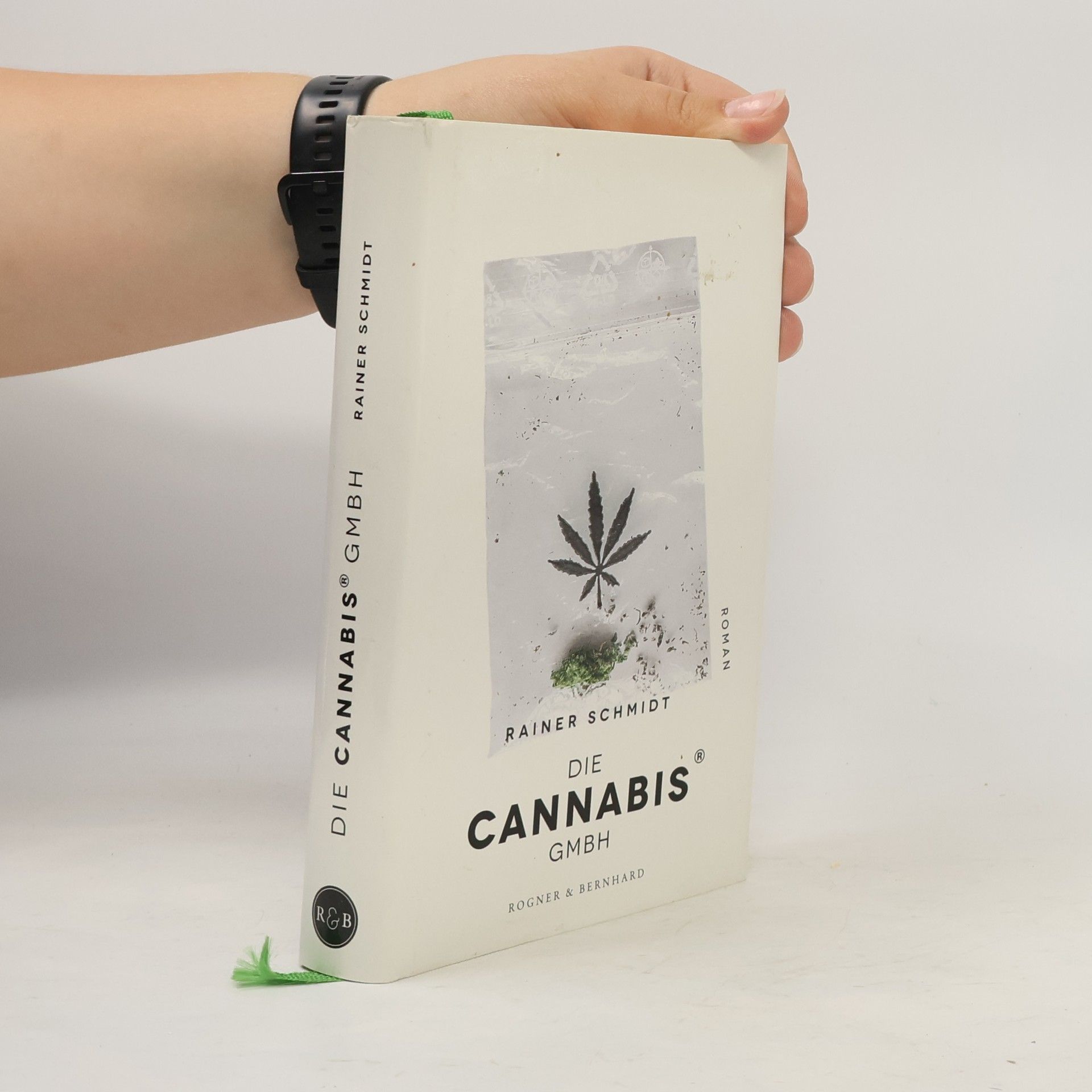 Rainer Schmidt Die Cannabis GmbH