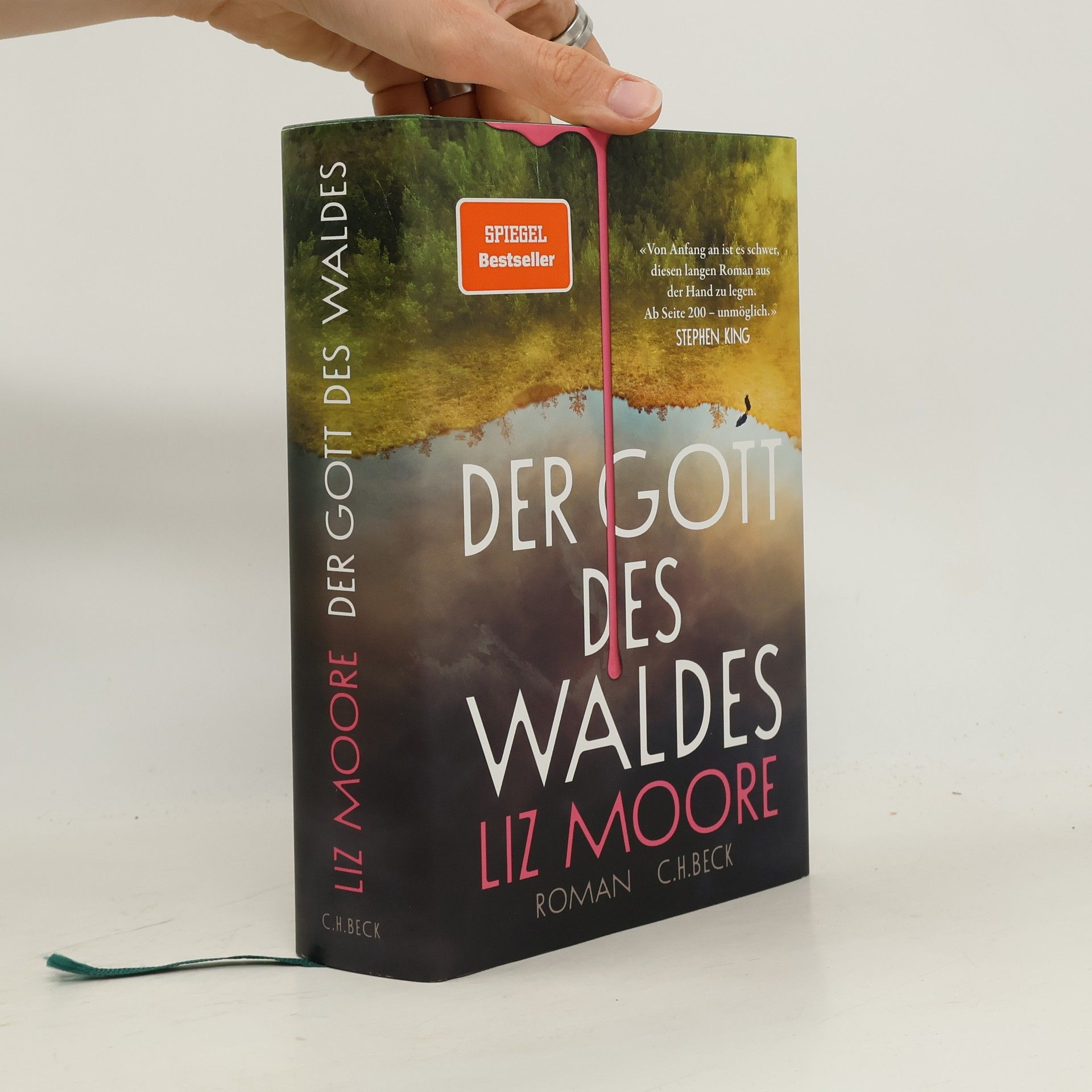 Liz Moore Der Gott des Waldes