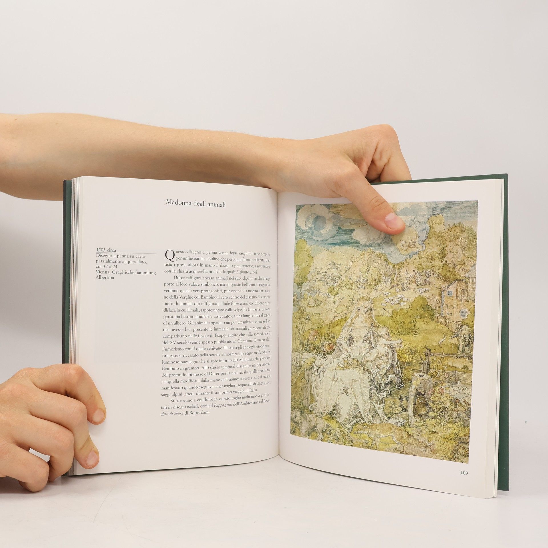 Kolektiv autorů Dürer