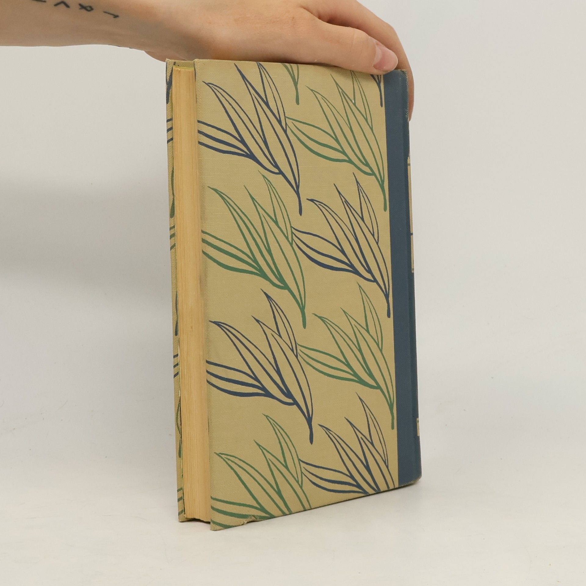 Rudyard Kipling The Jungle Book