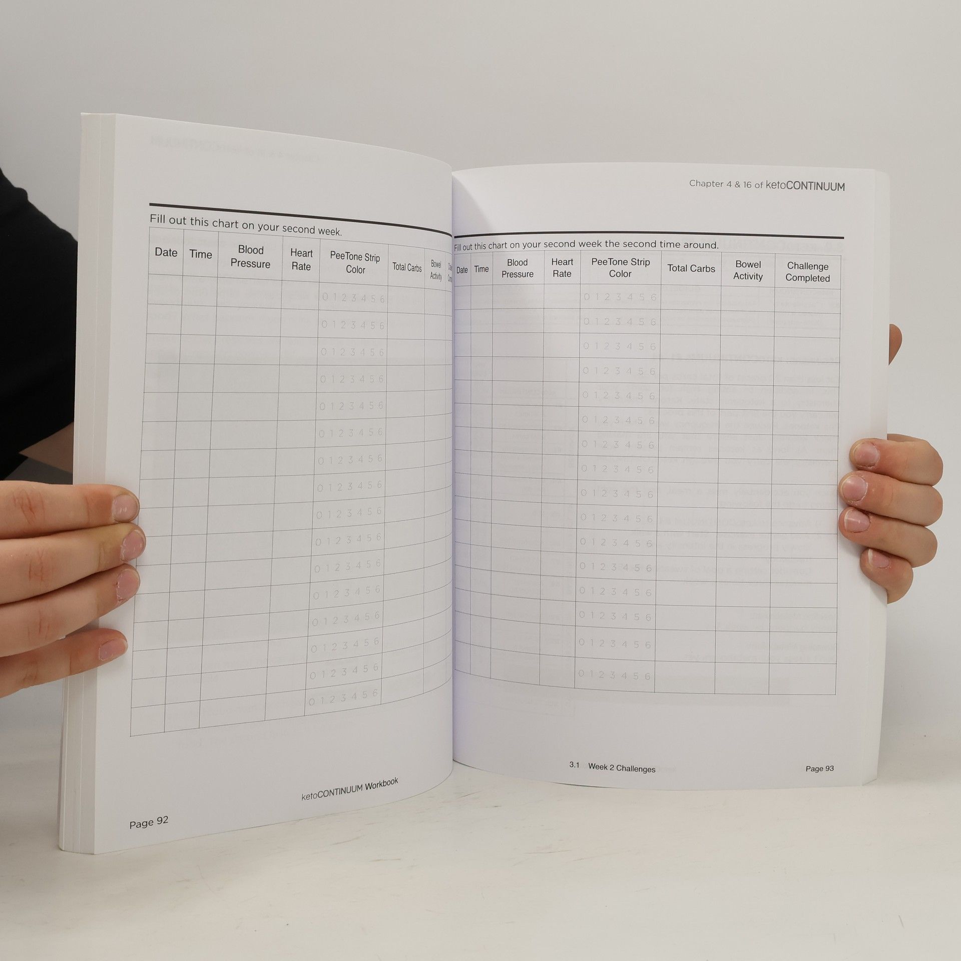 Annette Bosworth Ketocontinuum Workbook