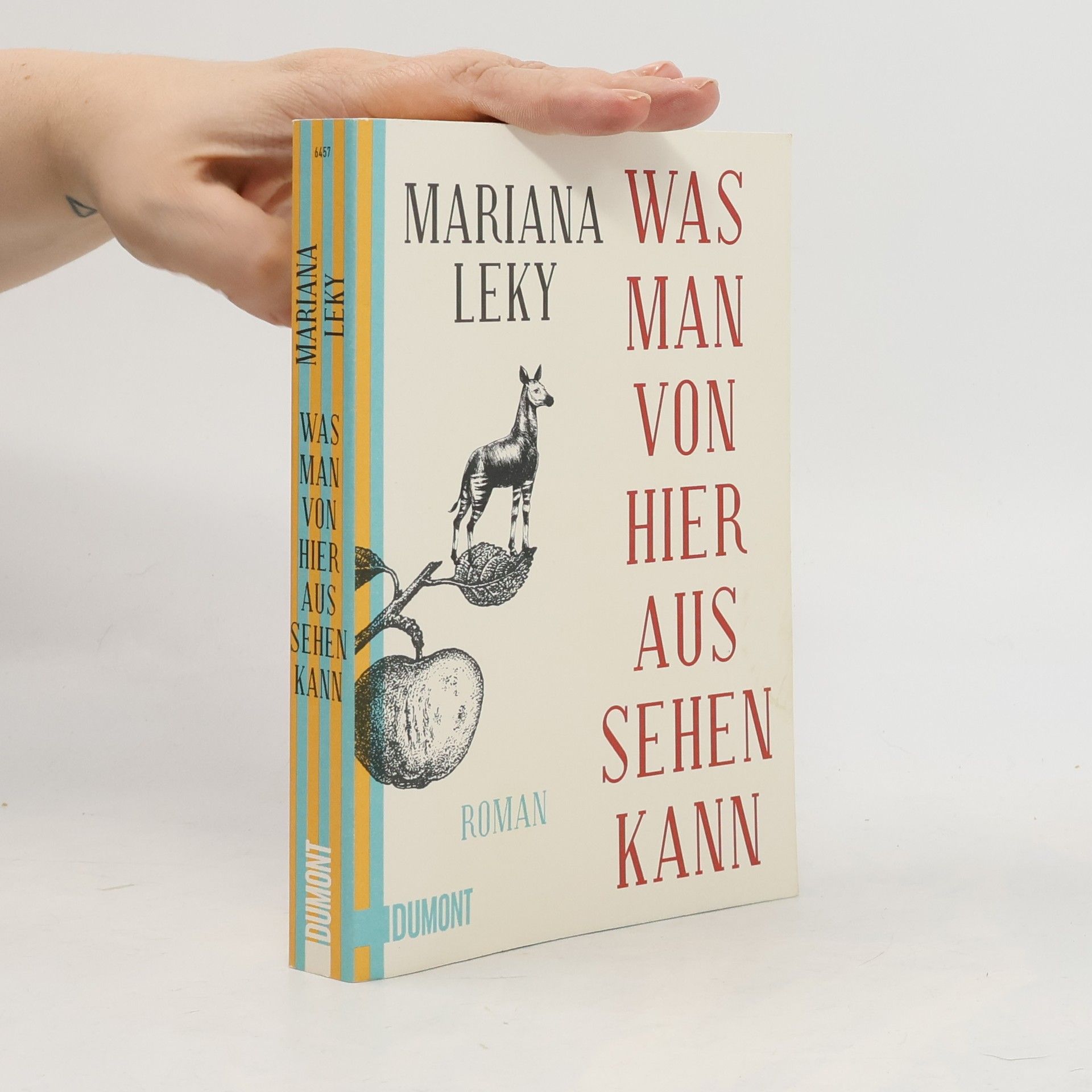 Mariana Leky Was man von hier aus sehen kann