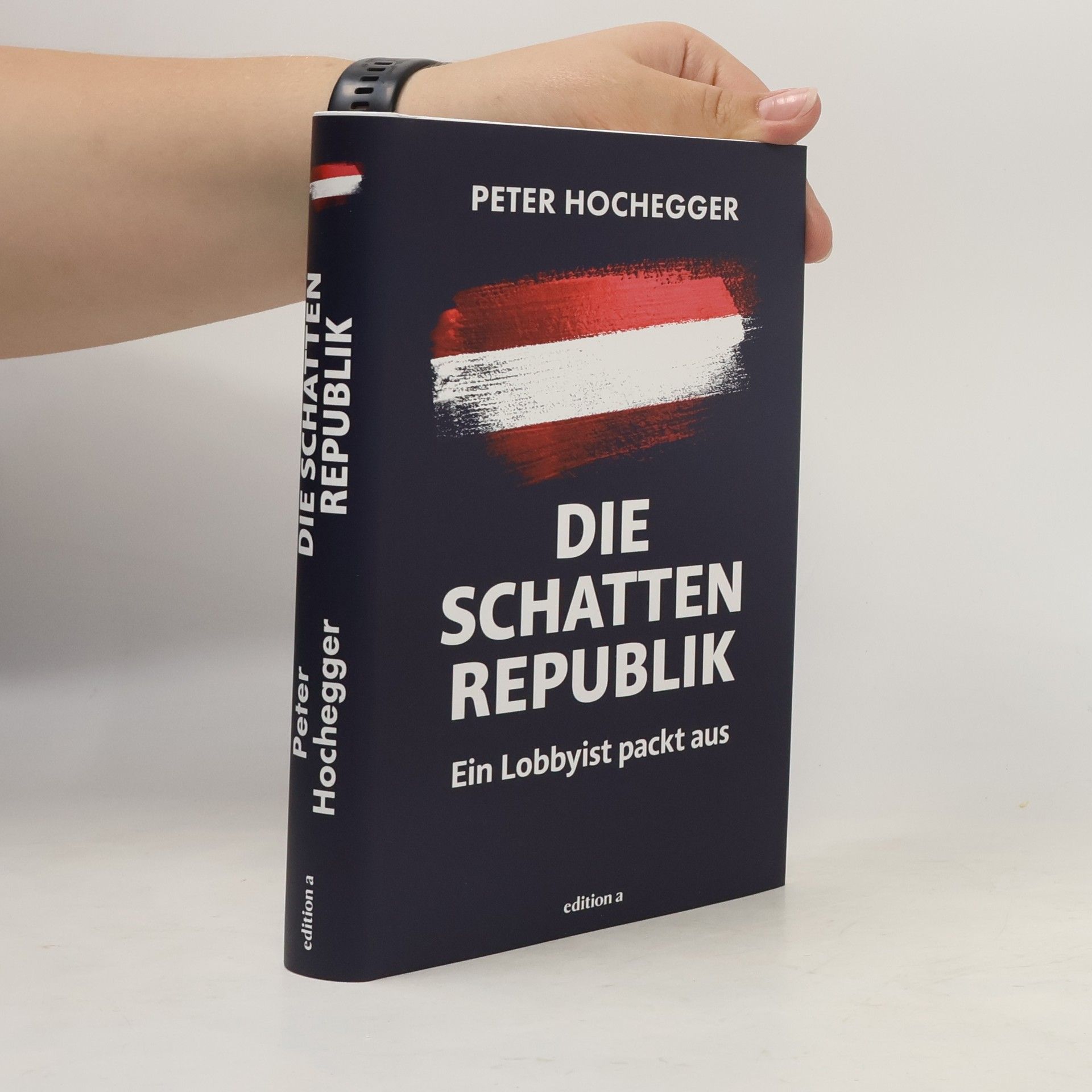 Peter Hochegger Die Schattenrepublik
