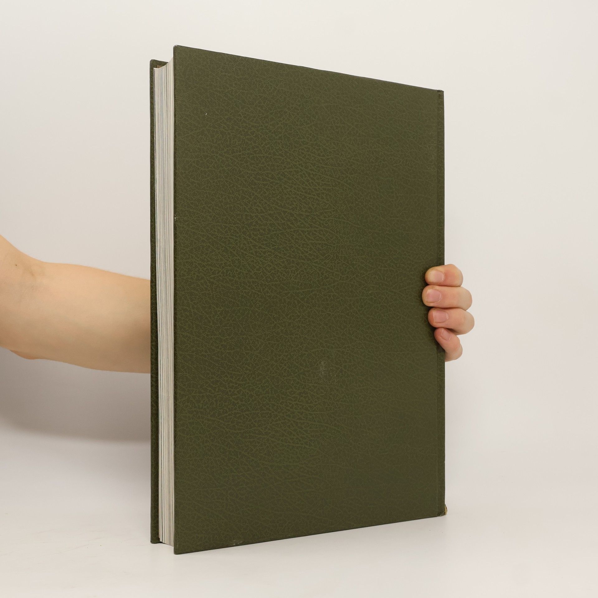 Arnim Basche Geschichte des Pferdes