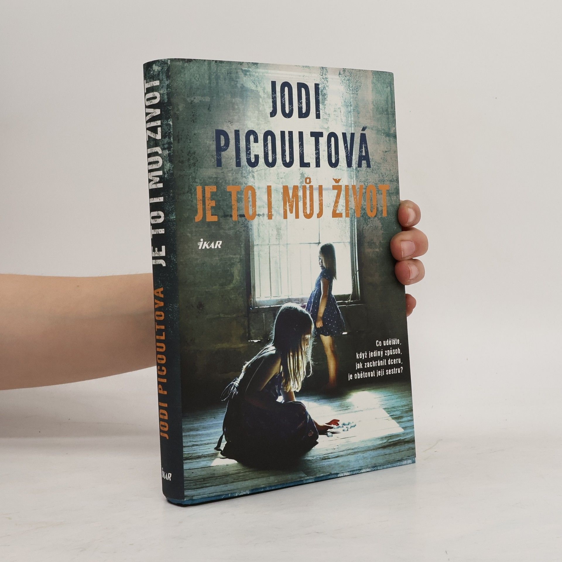 Jodi Picoult Je to i můj život
