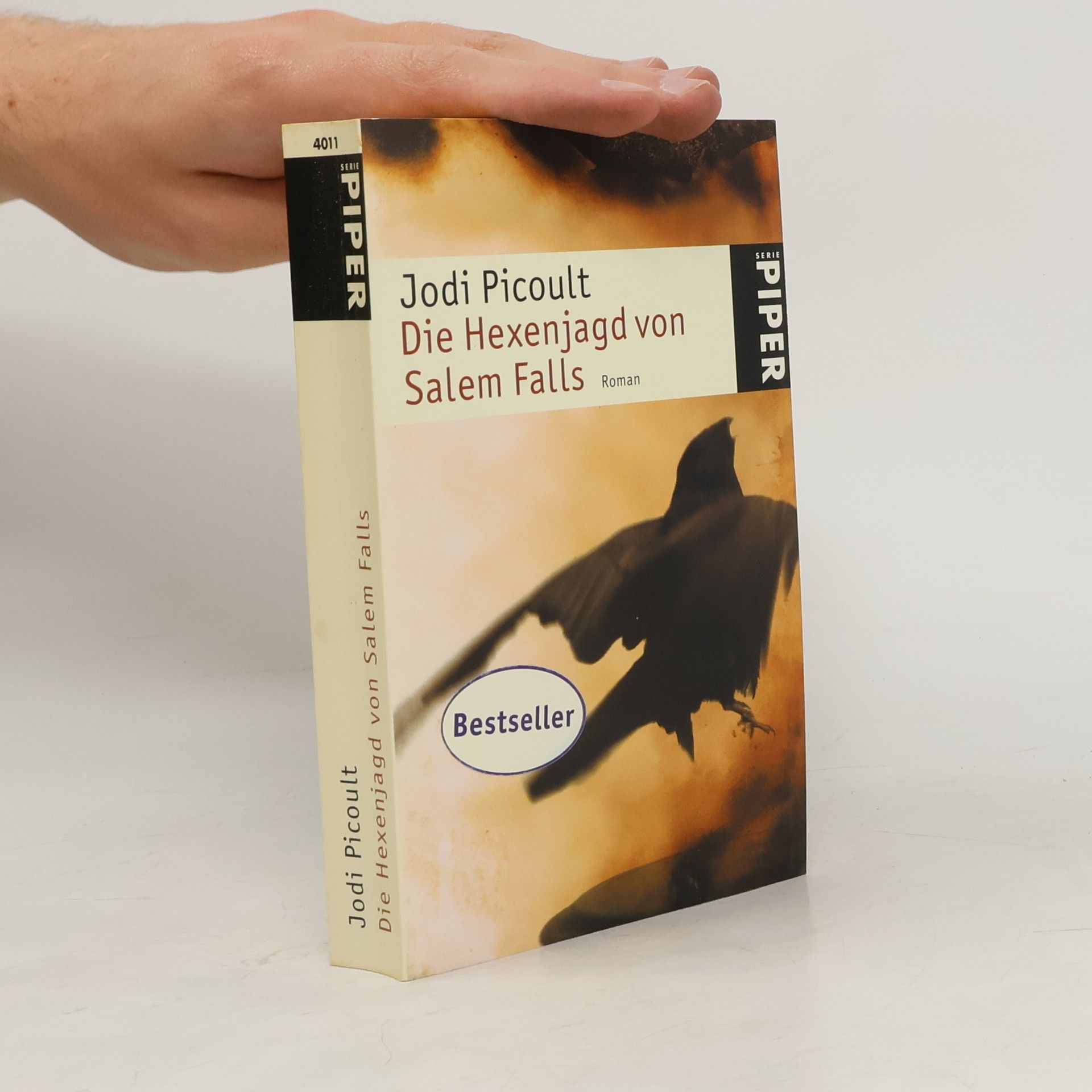 Jodi Picoult Die Hexenjagd von Salem Falls