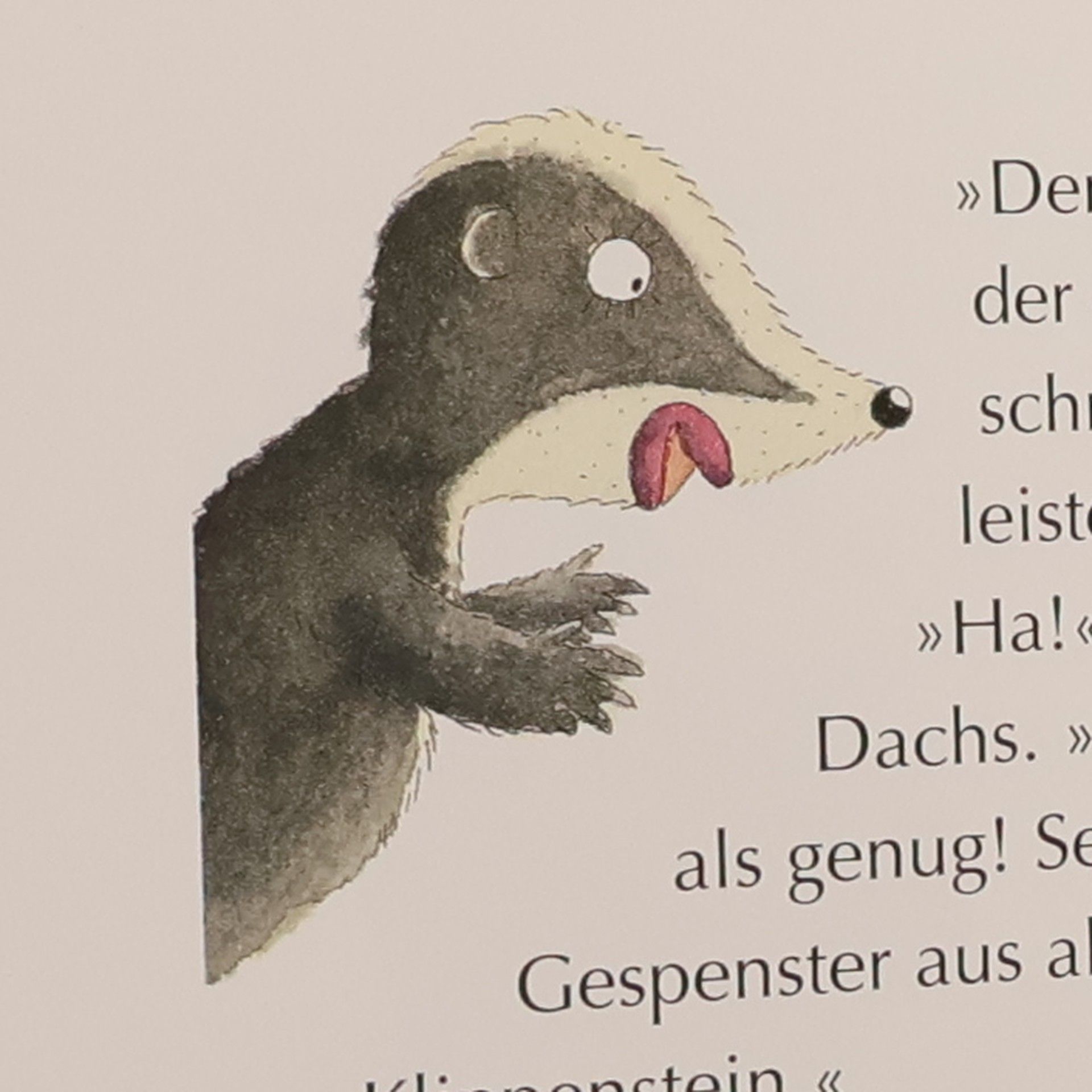 Ingo Siegner Der kleine Drache Kokosnuss im Spukschloss