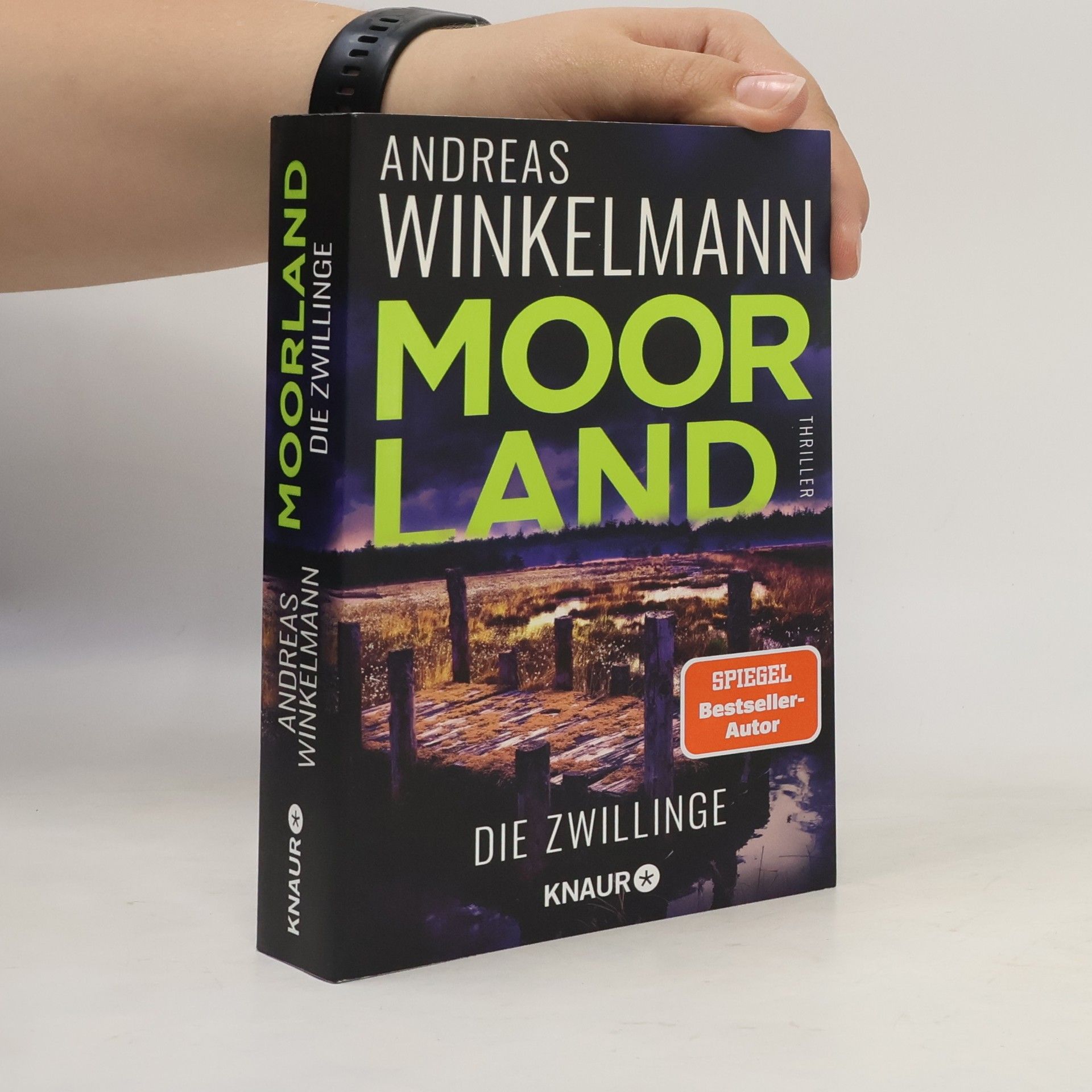 Hendrik Winter Moorland. Die Zwillinge