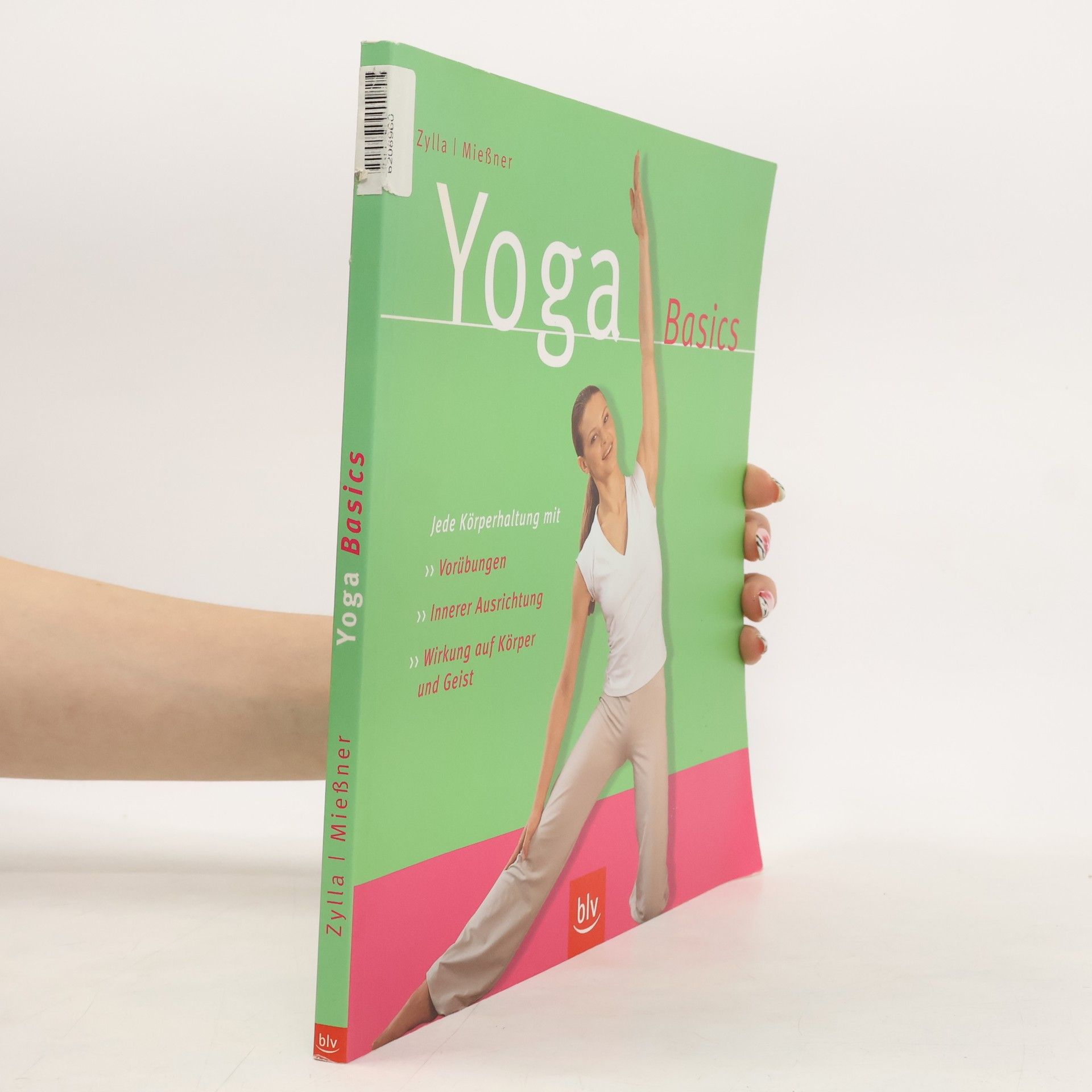 Amiena Zylla Yoga-Basics