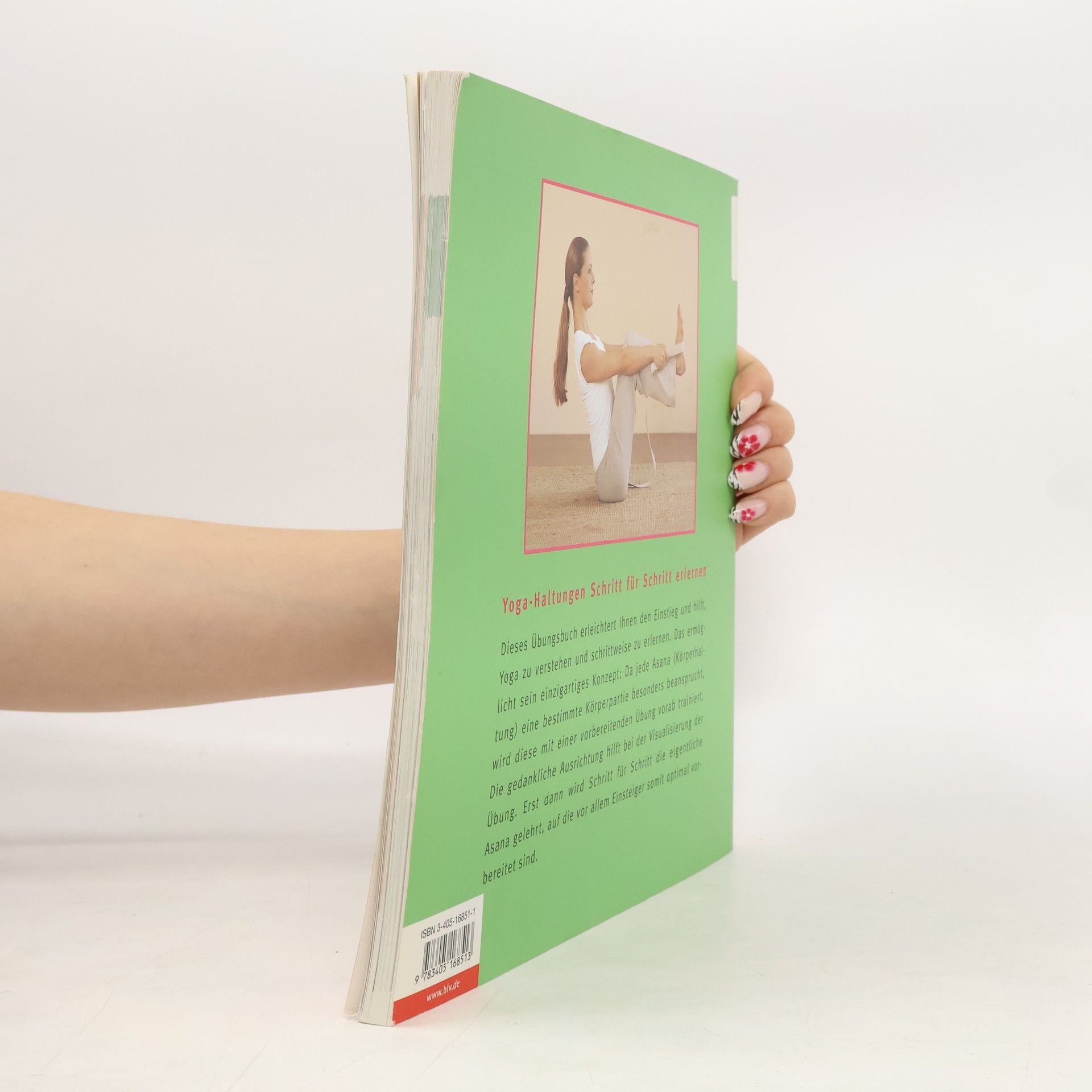 Amiena Zylla Yoga-Basics