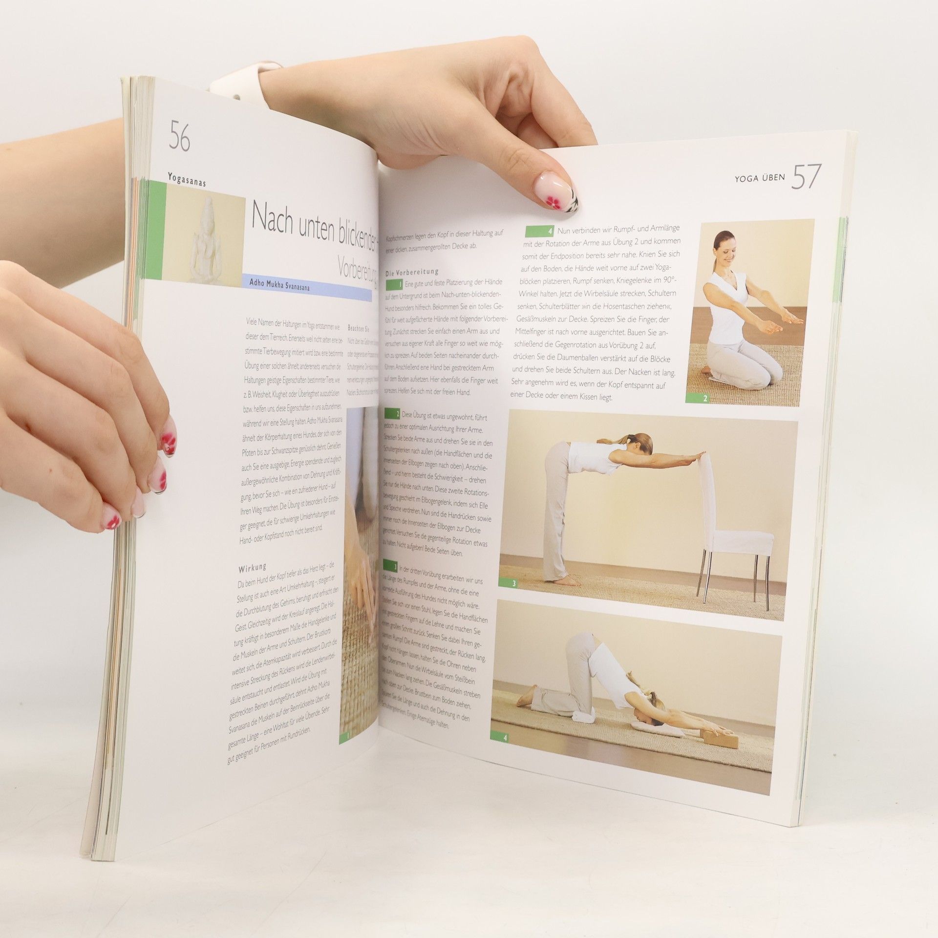 Amiena Zylla Yoga-Basics
