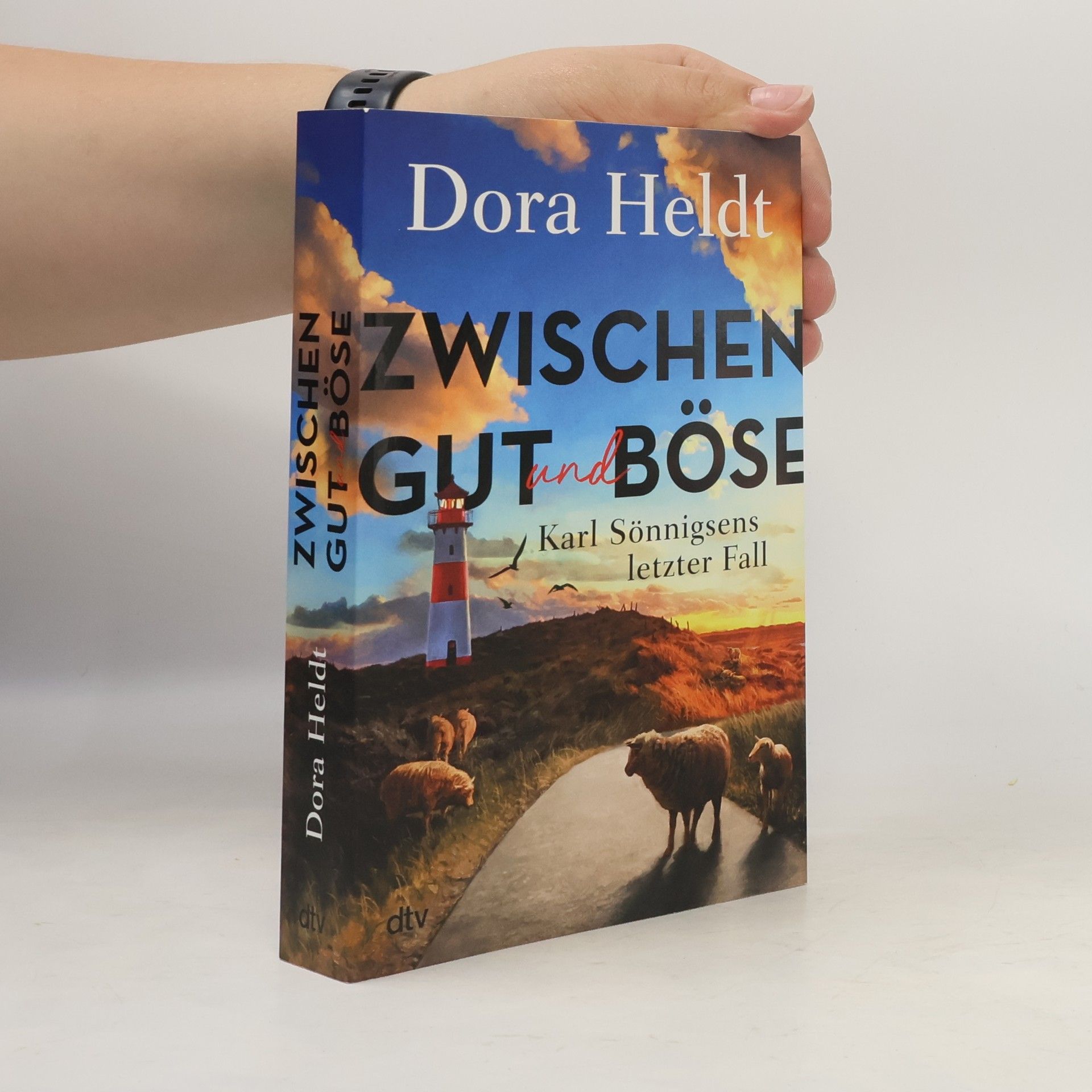 Dora Heldt Karl Sönnigsen ermittelt - 3: Zwischen Gut und Böse